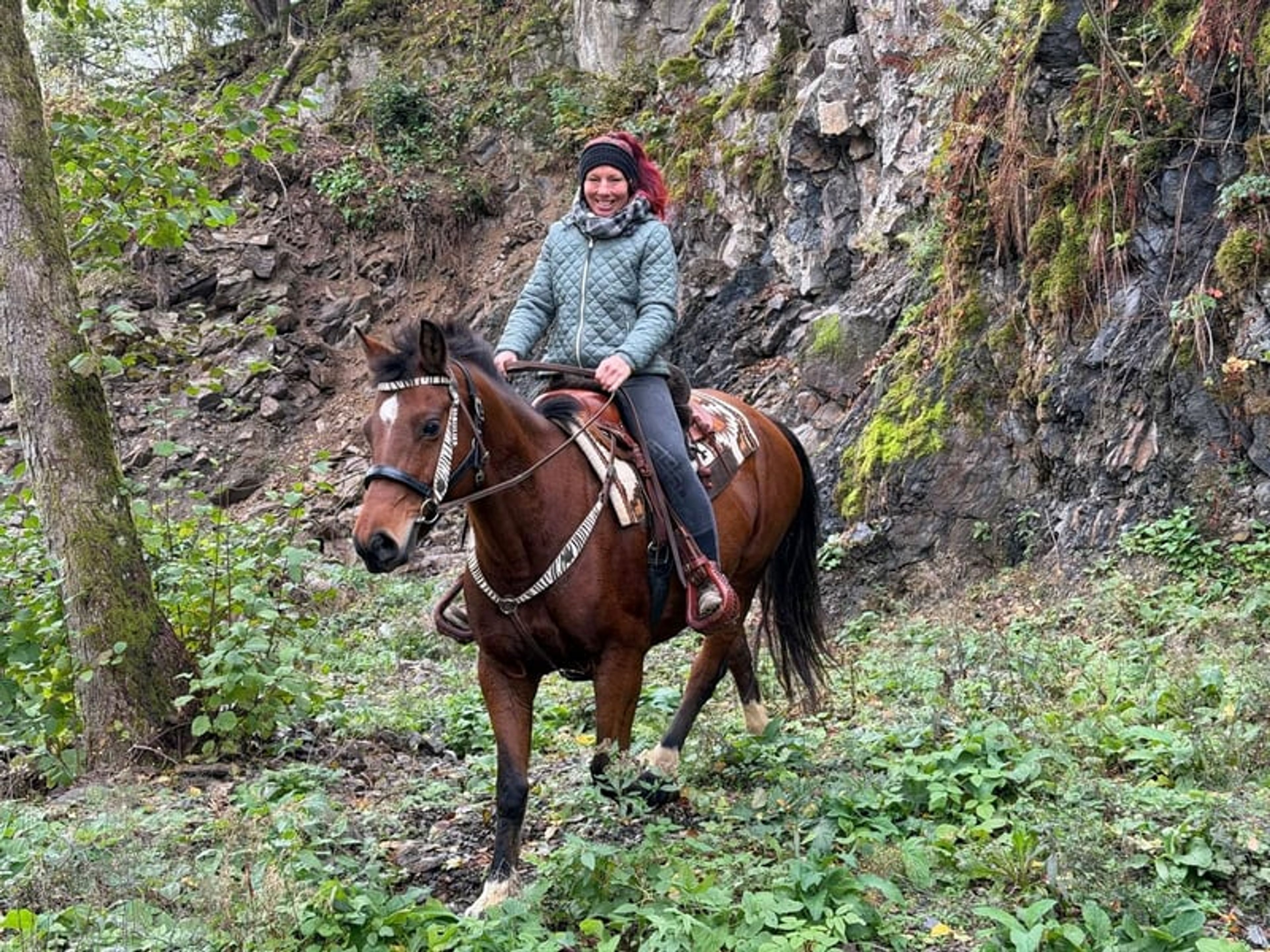 All-round leisure, trail-riding, riding-school and family horse - Image 4