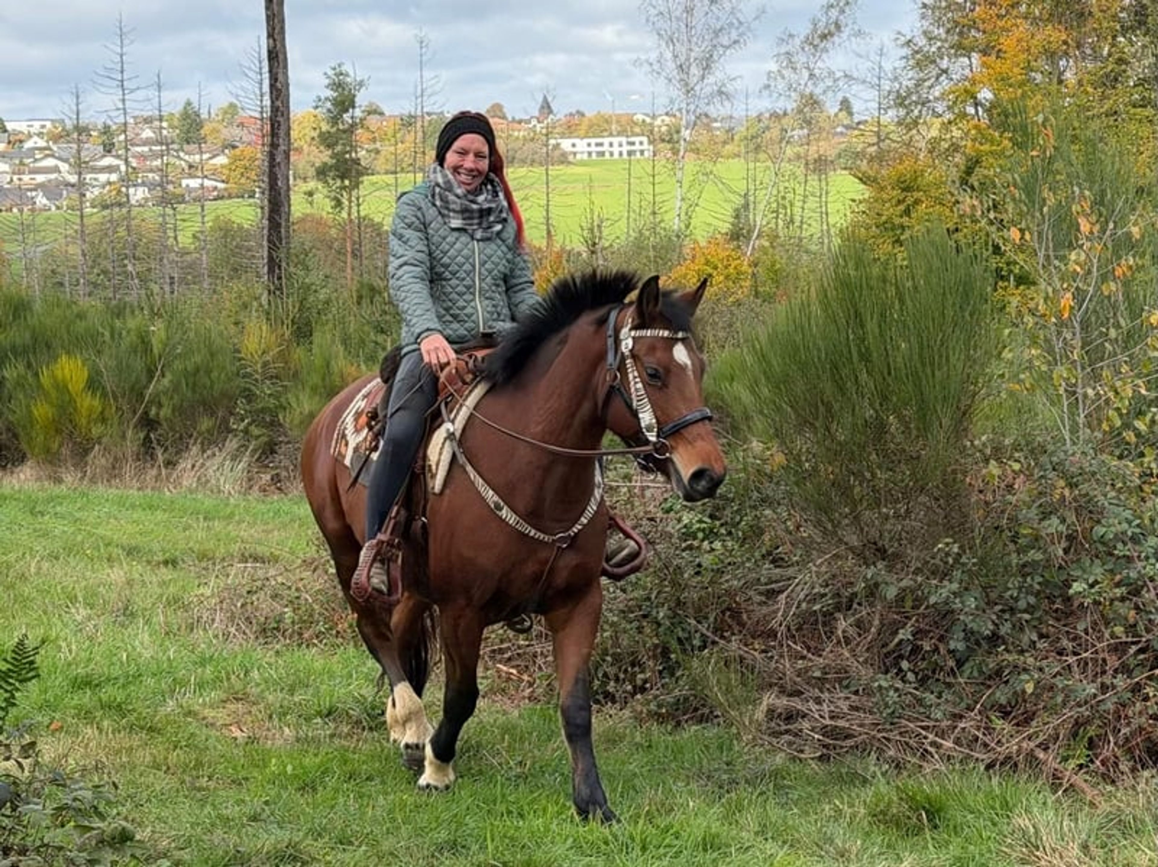 All-round leisure, trail-riding, riding-school and family horse - Image 6