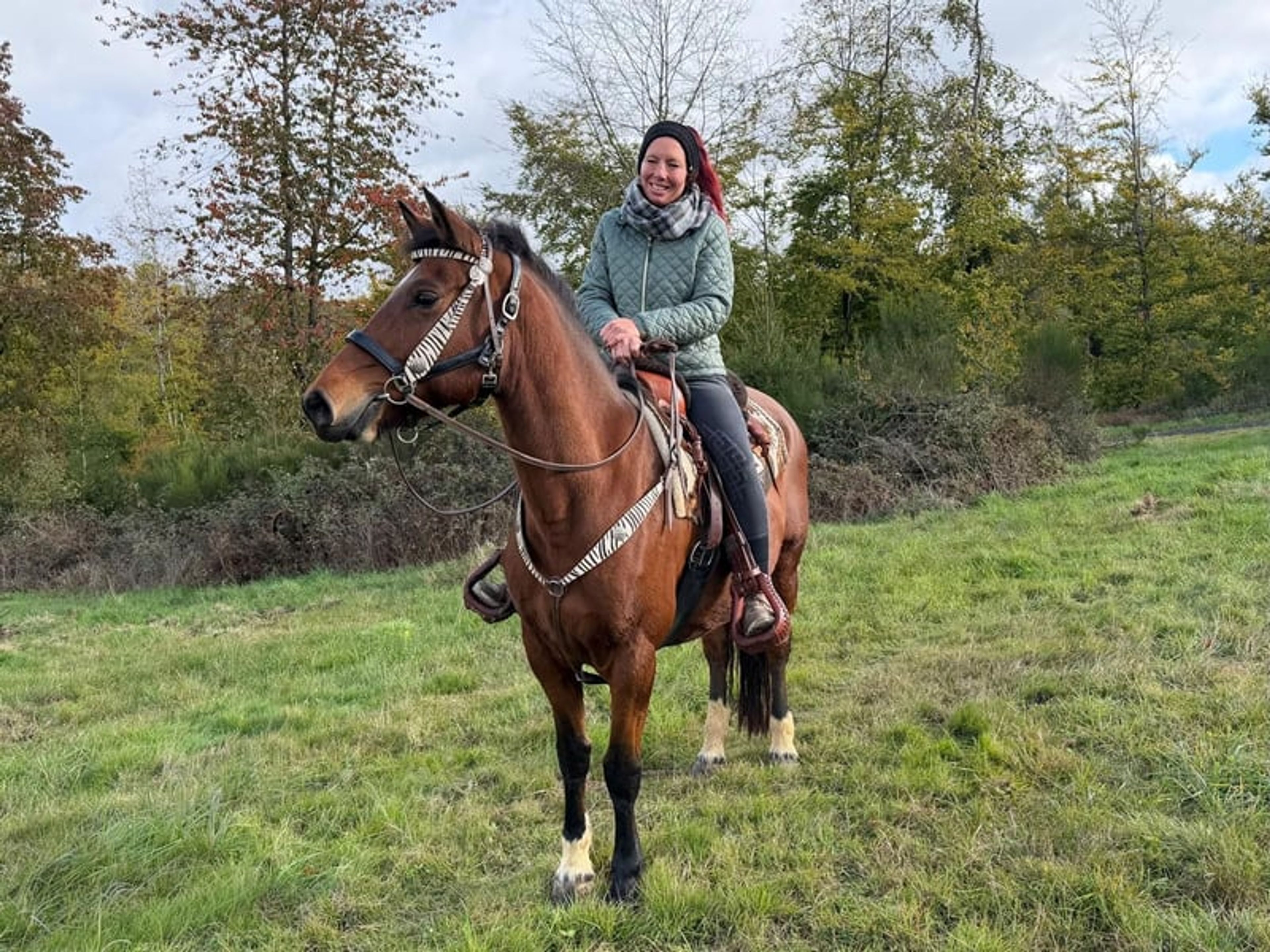 All-round leisure, trail-riding, riding-school and family horse - Image 7