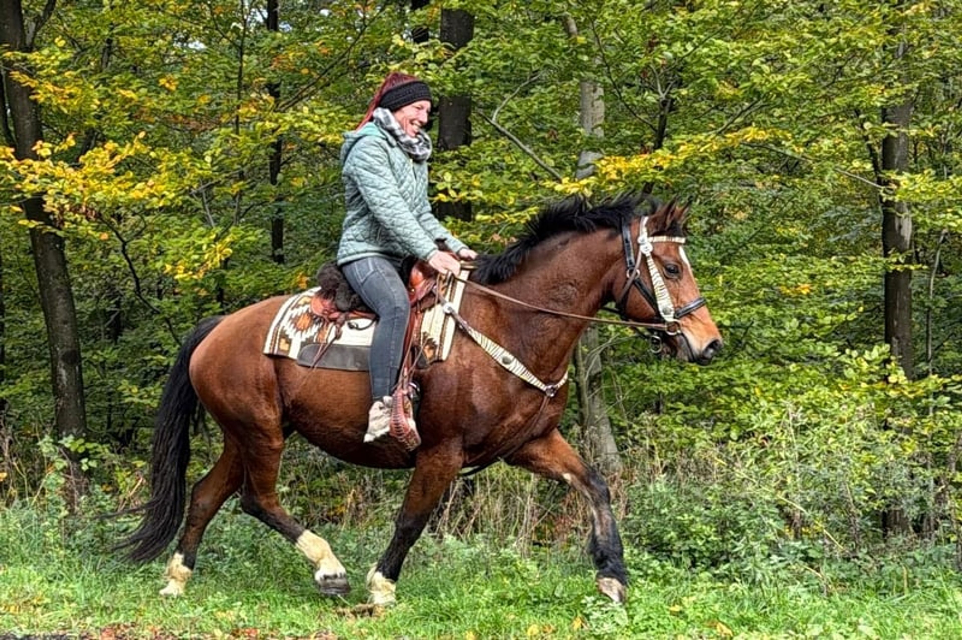 All-round leisure, trail-riding, riding-school and family horse - Image 8