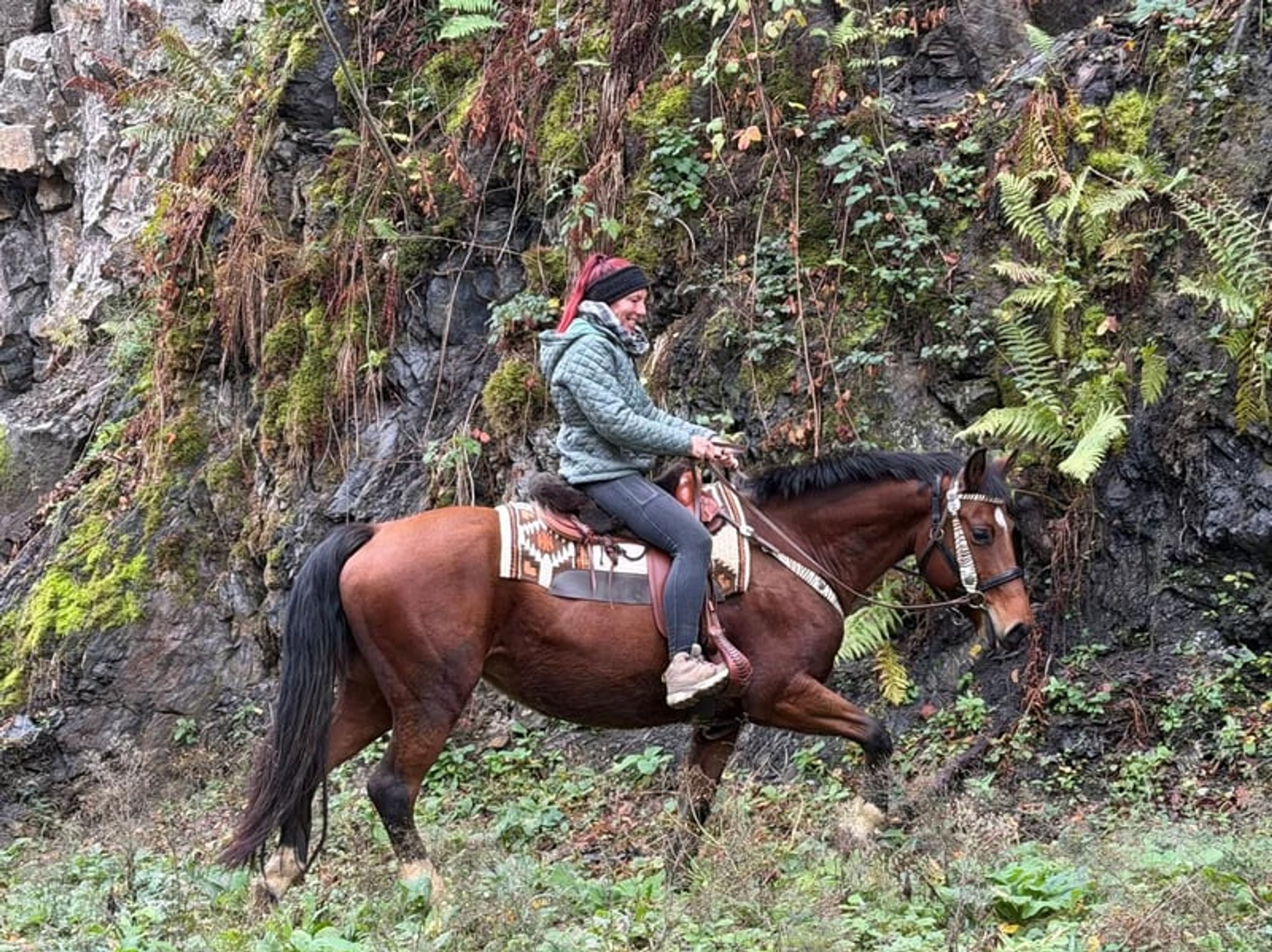 All-round leisure, trail-riding, riding-school and family horse - Image 9