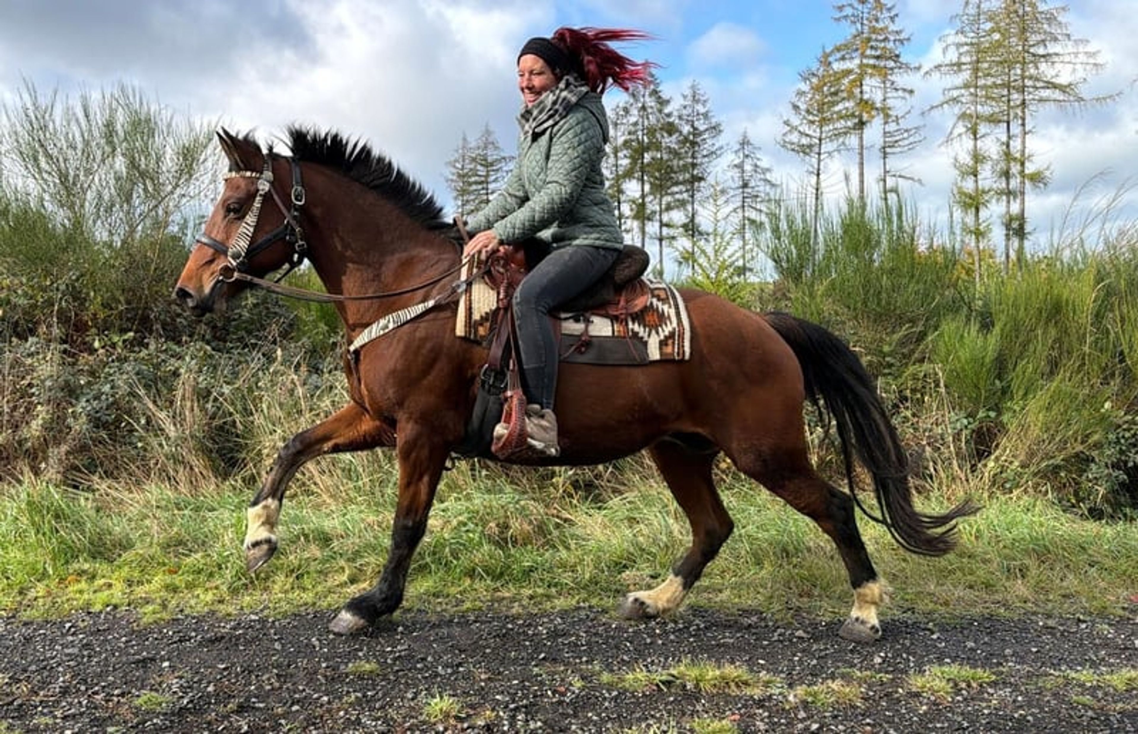 All-round leisure, trail-riding, riding-school and family horse - Image 10
