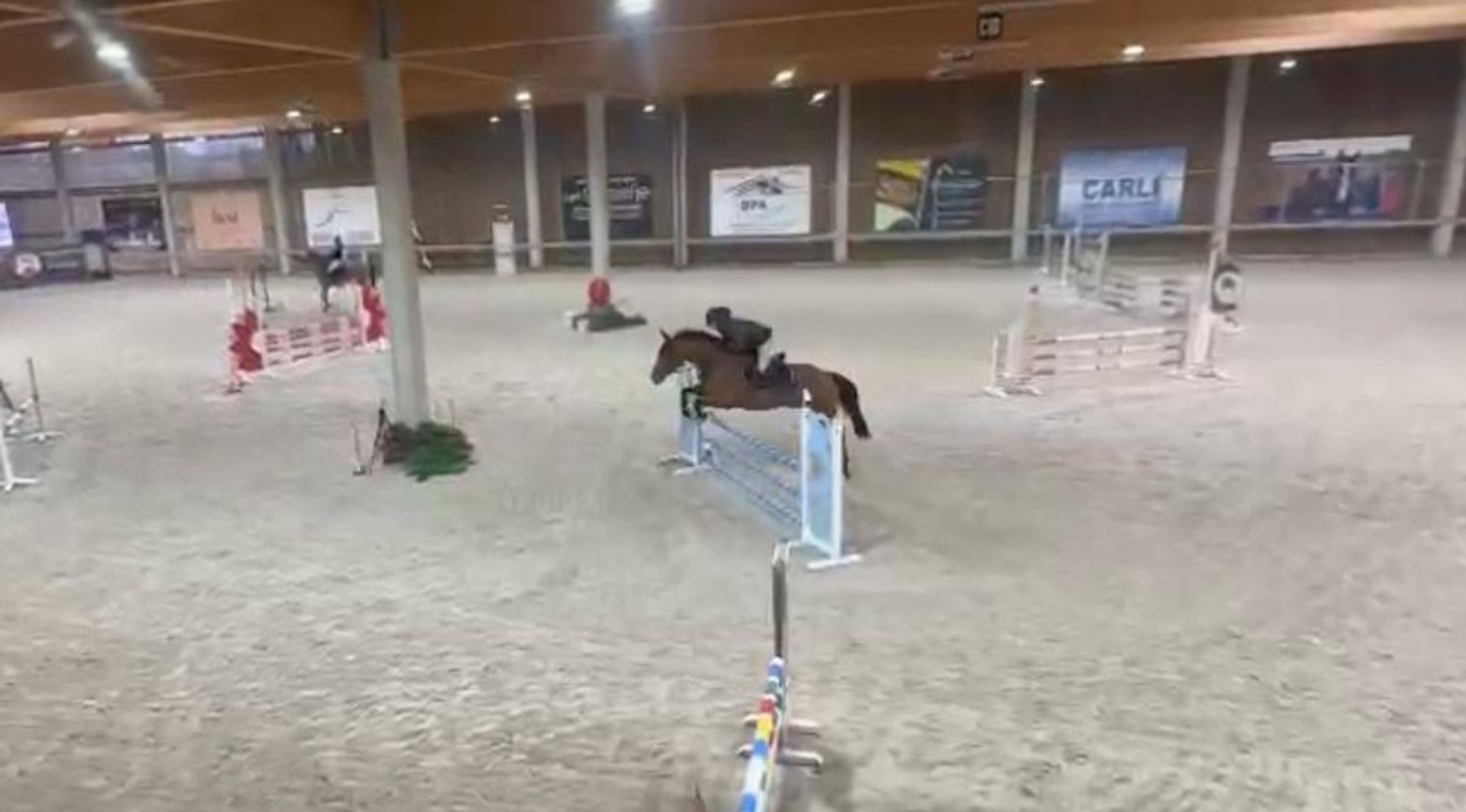 Minnesota ☆ (DINKEN  x CARETINO) - Image 1