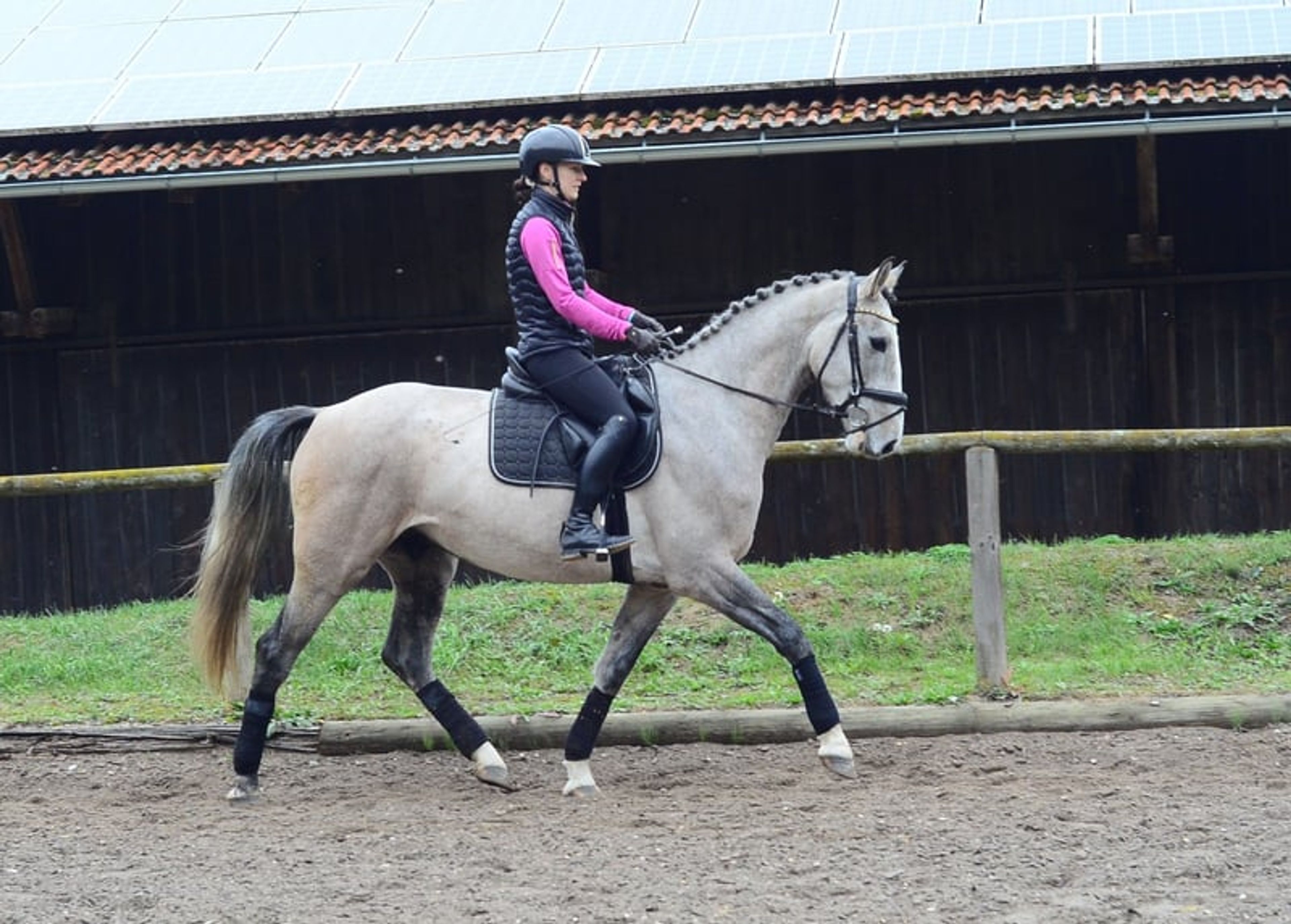 Great all-rounder for a wide range of disciplines - Image 1