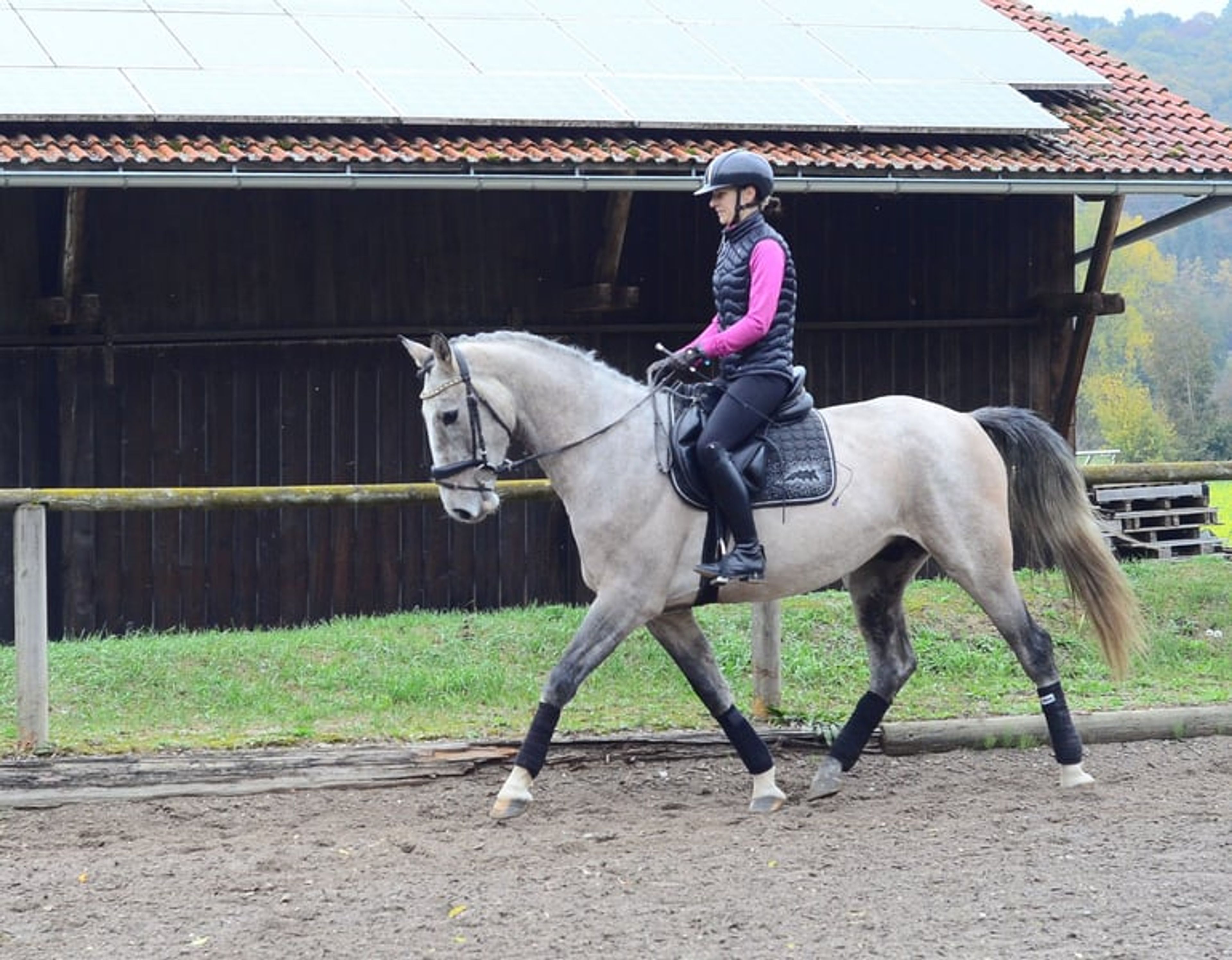Great all-rounder for a wide range of disciplines - Image 2
