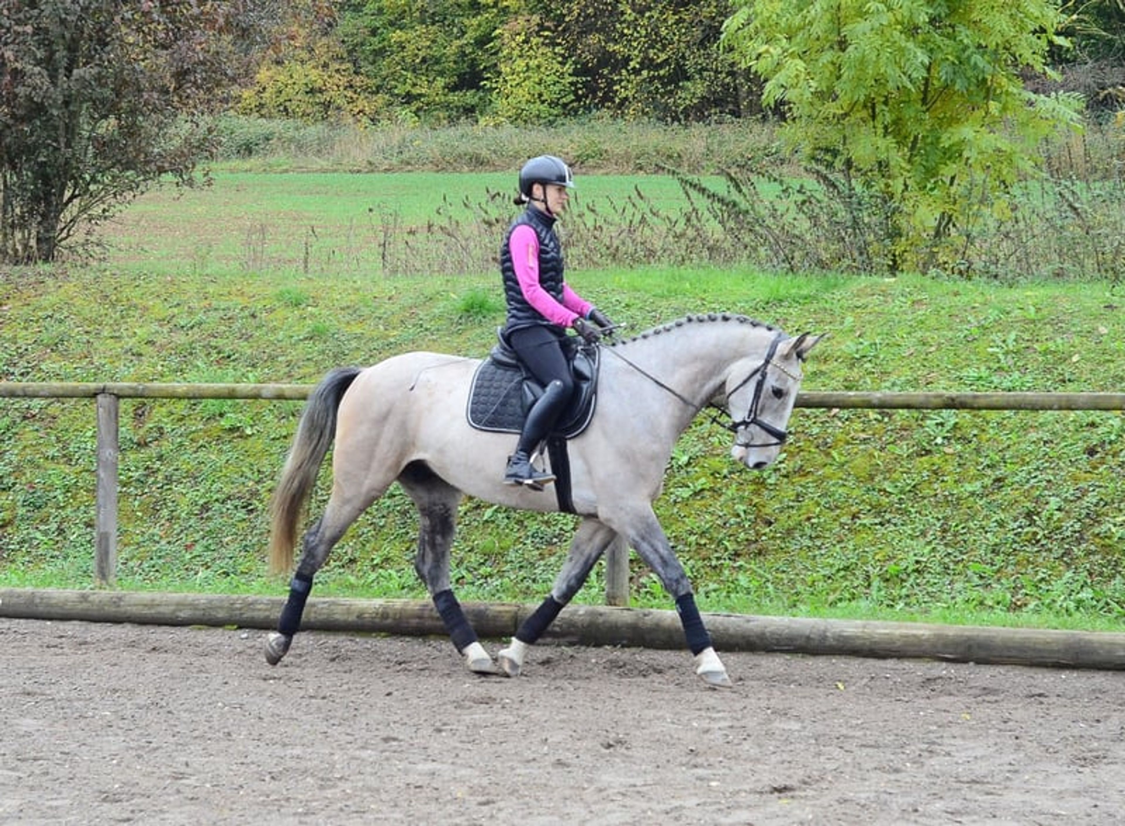 Great all-rounder for a wide range of disciplines - Image 3