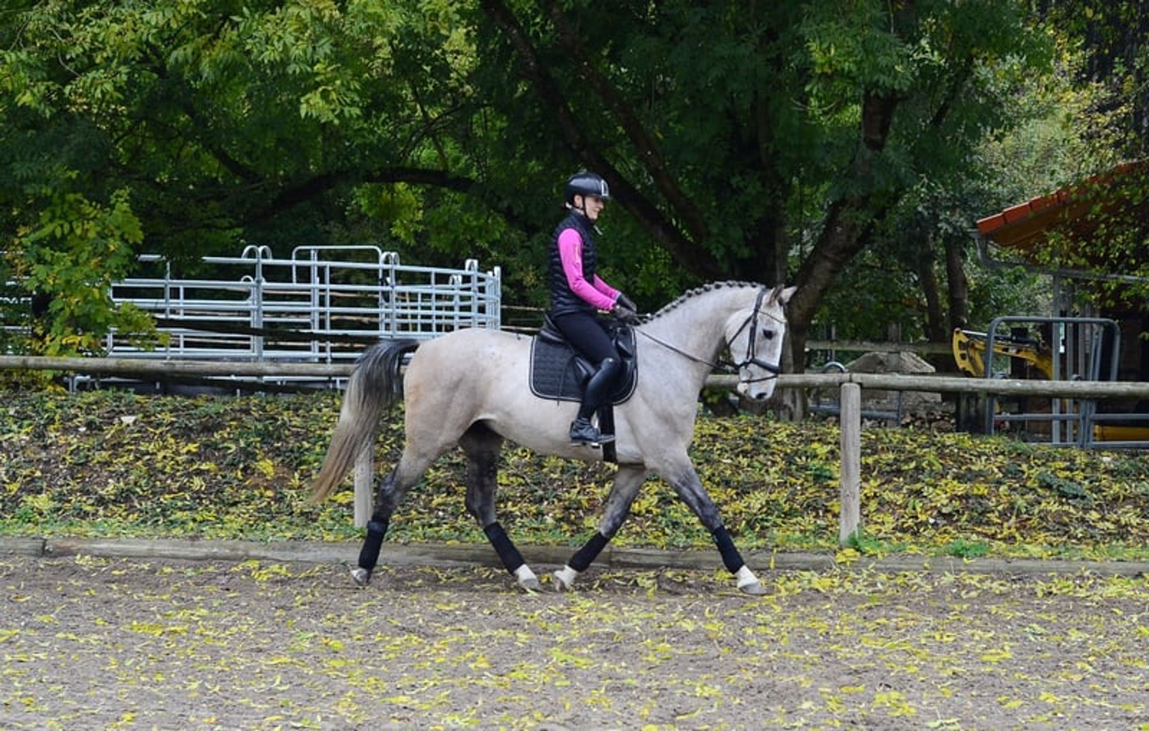 Great all-rounder for a wide range of disciplines - Image 5