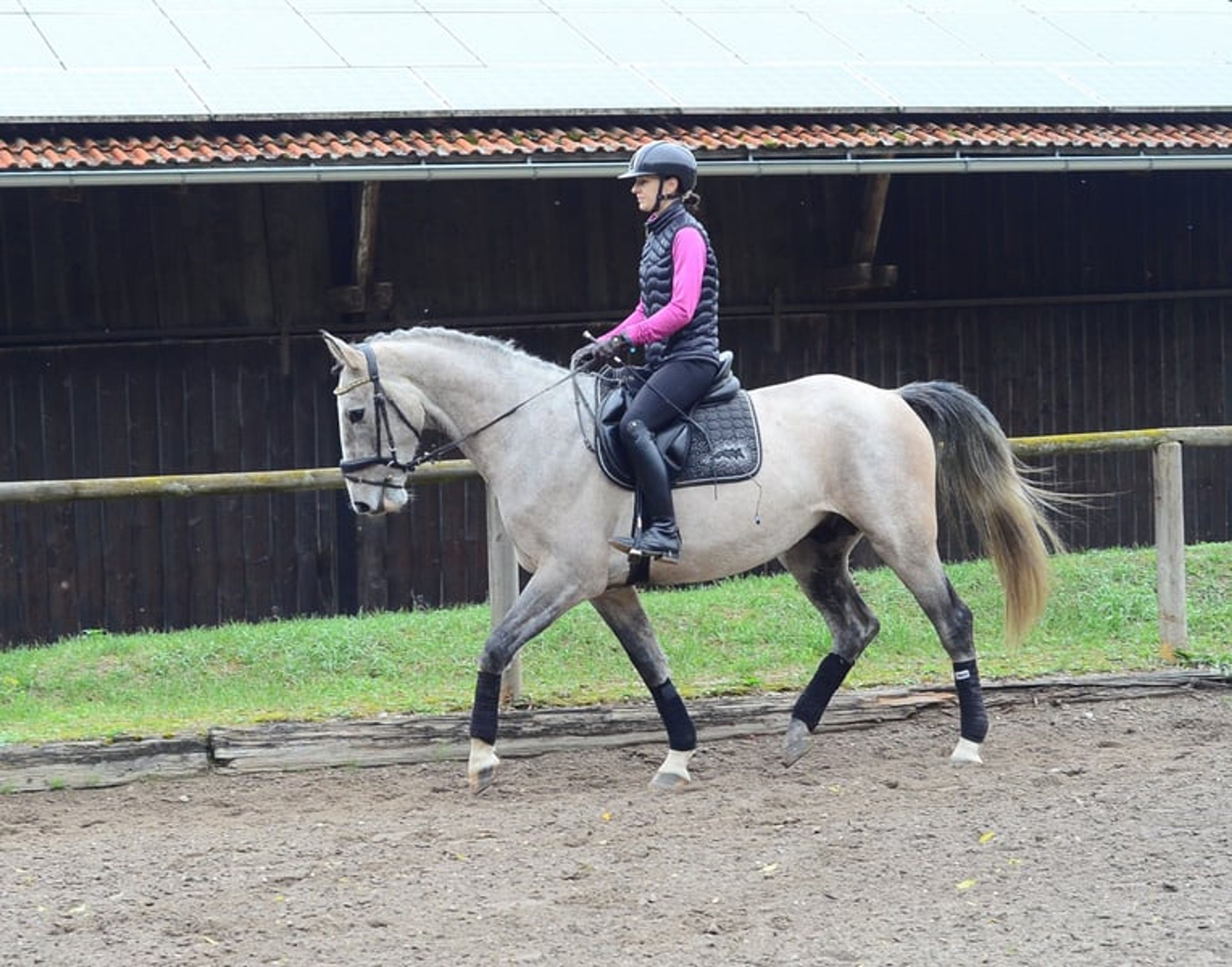 Great all-rounder for a wide range of disciplines - Image 6
