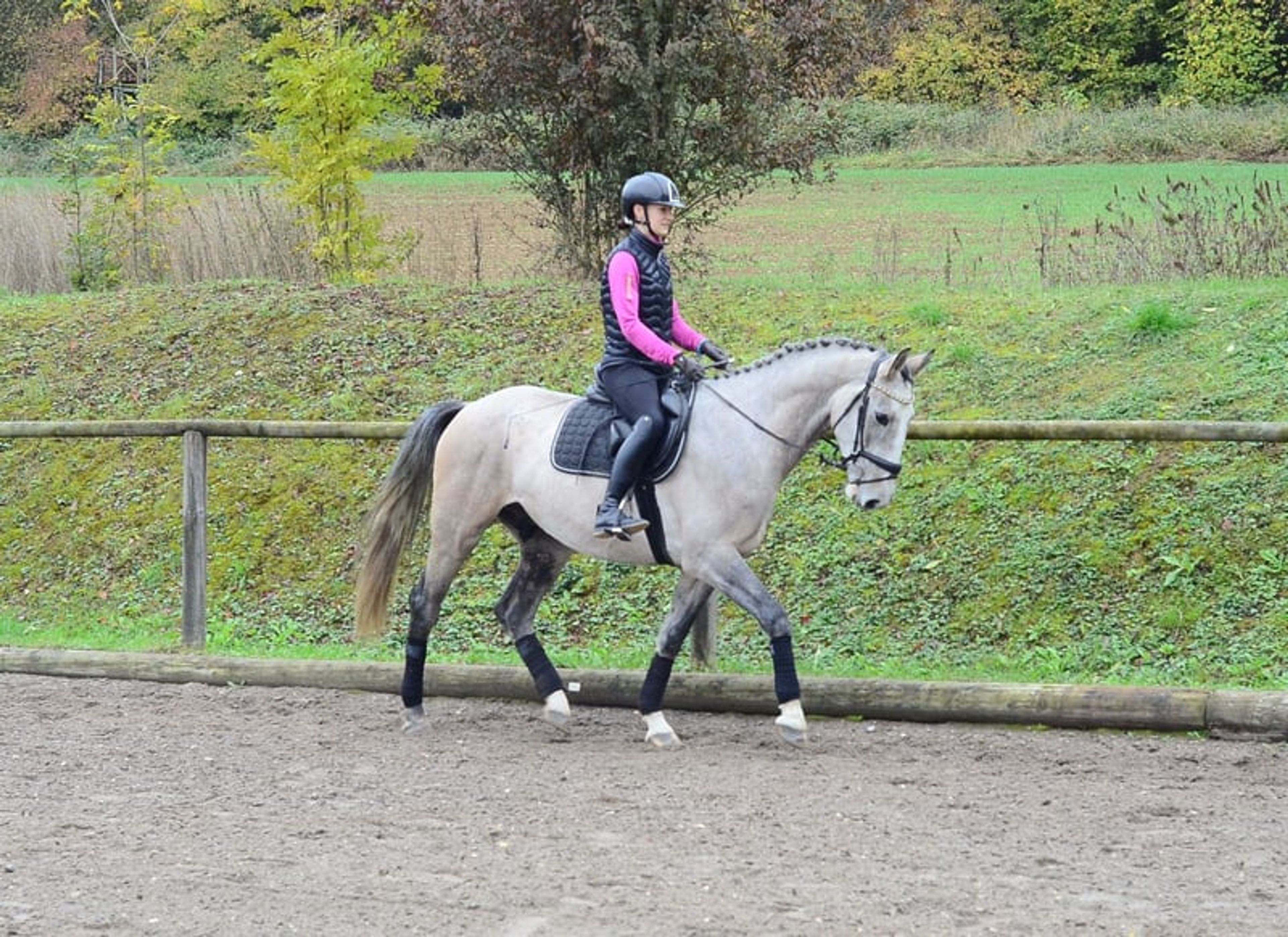 Great all-rounder for a wide range of disciplines - Image 7