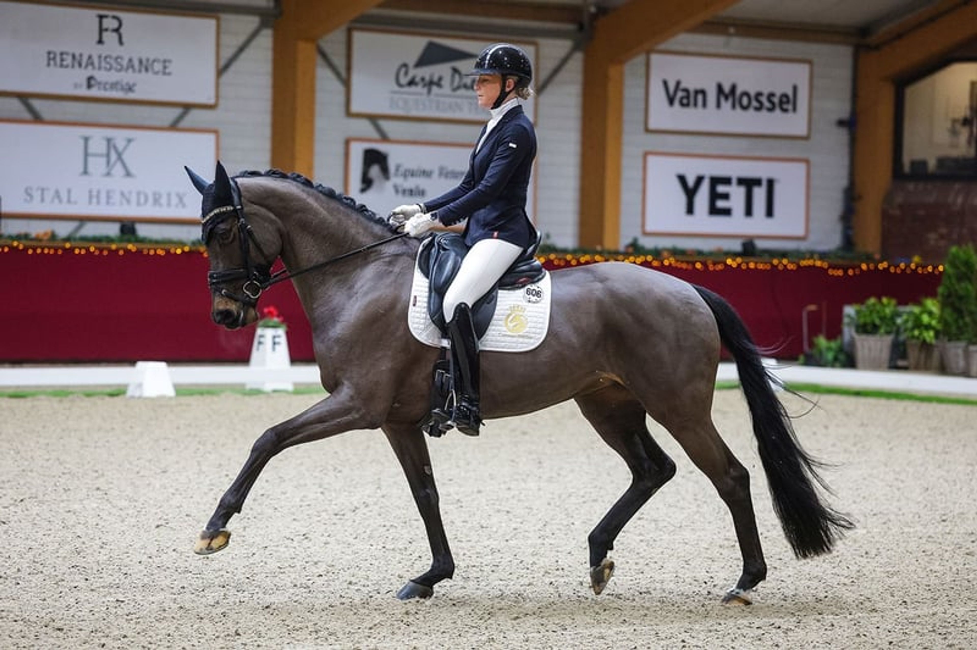 Cayenne Stables – Dressage Horses with Care and Quality - Image 2