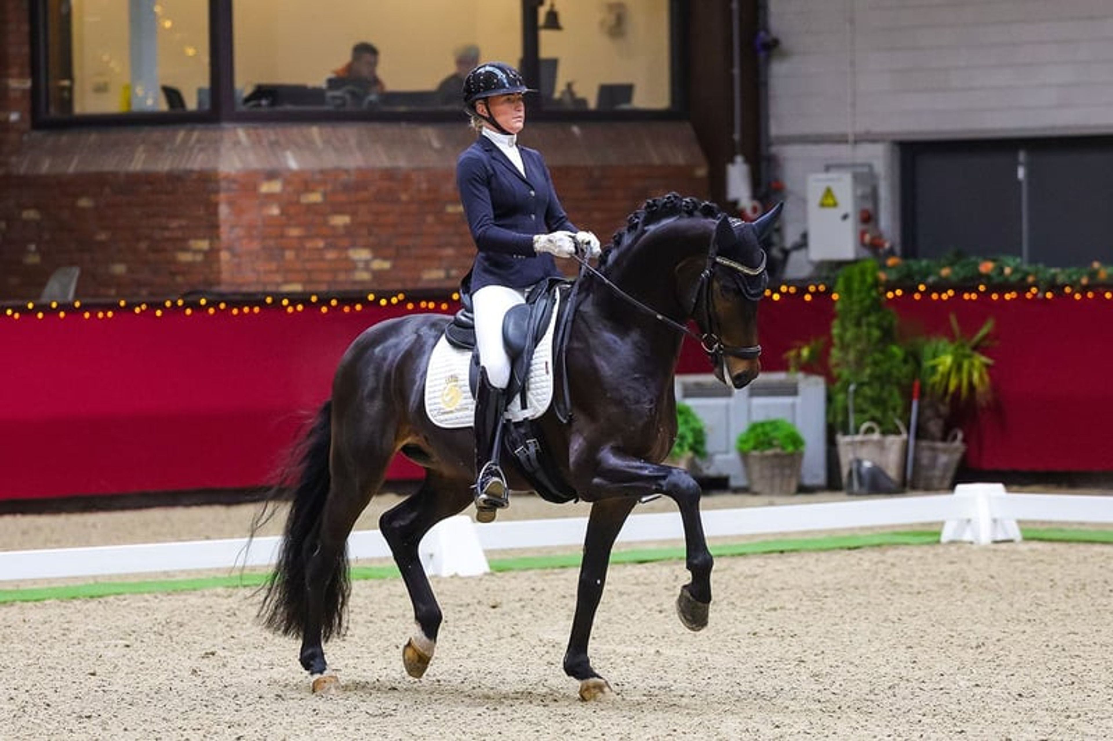 Cayenne Stables – Dressage Horses with Care and Quality - Image 3