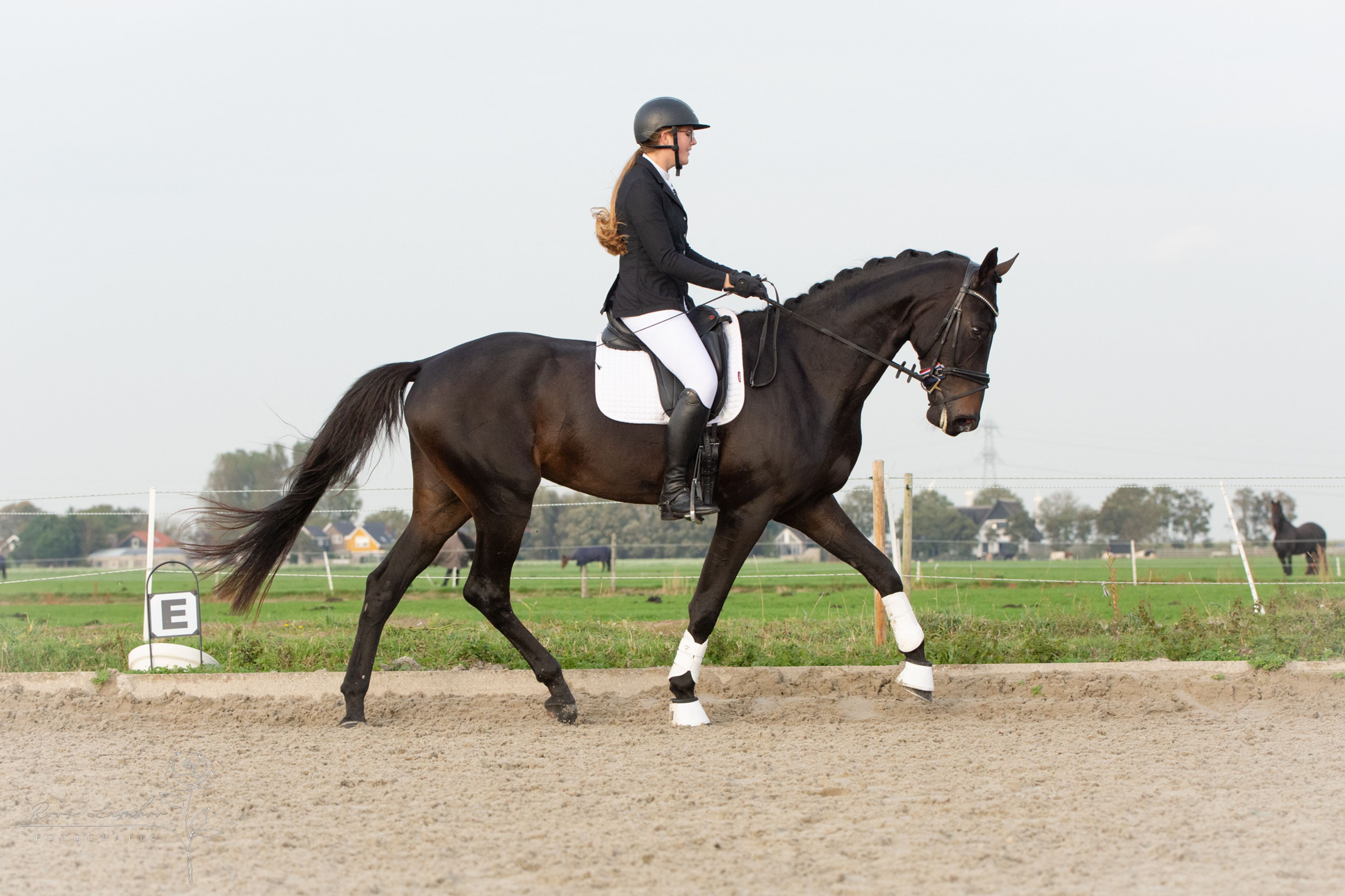 Reina Maica - Image 5