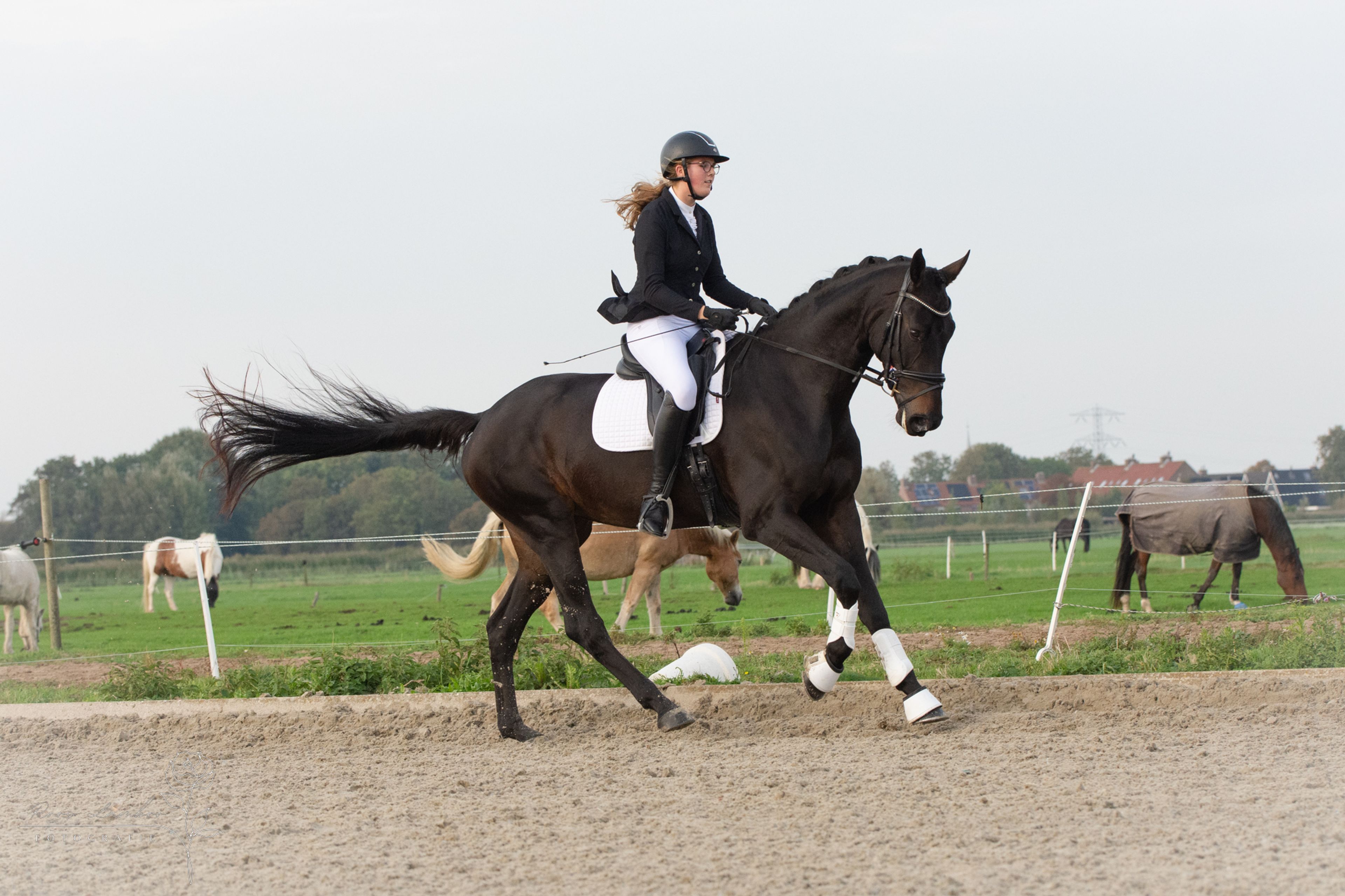 Reina Maica - Image 6