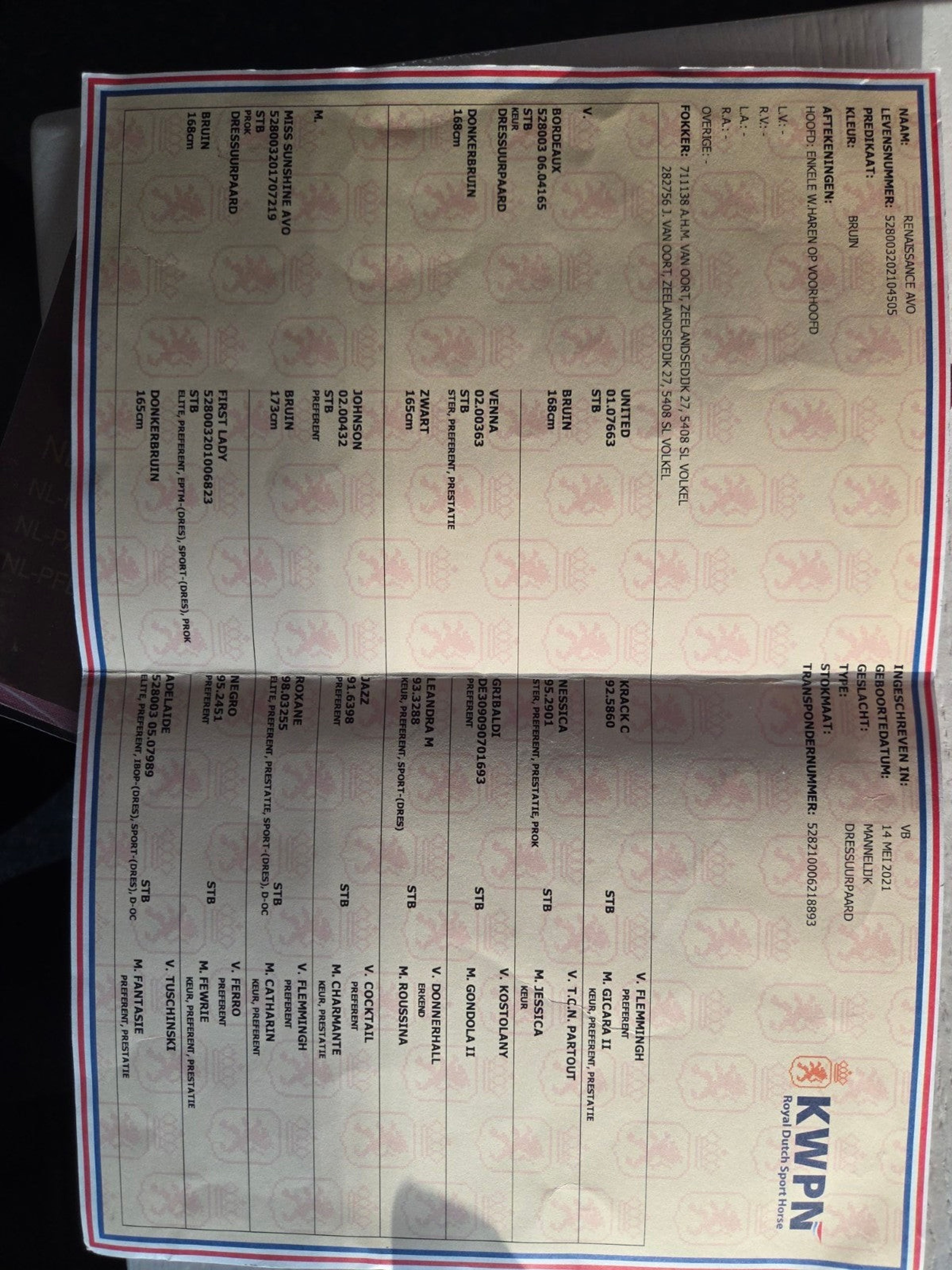 Renaissance - Image 3