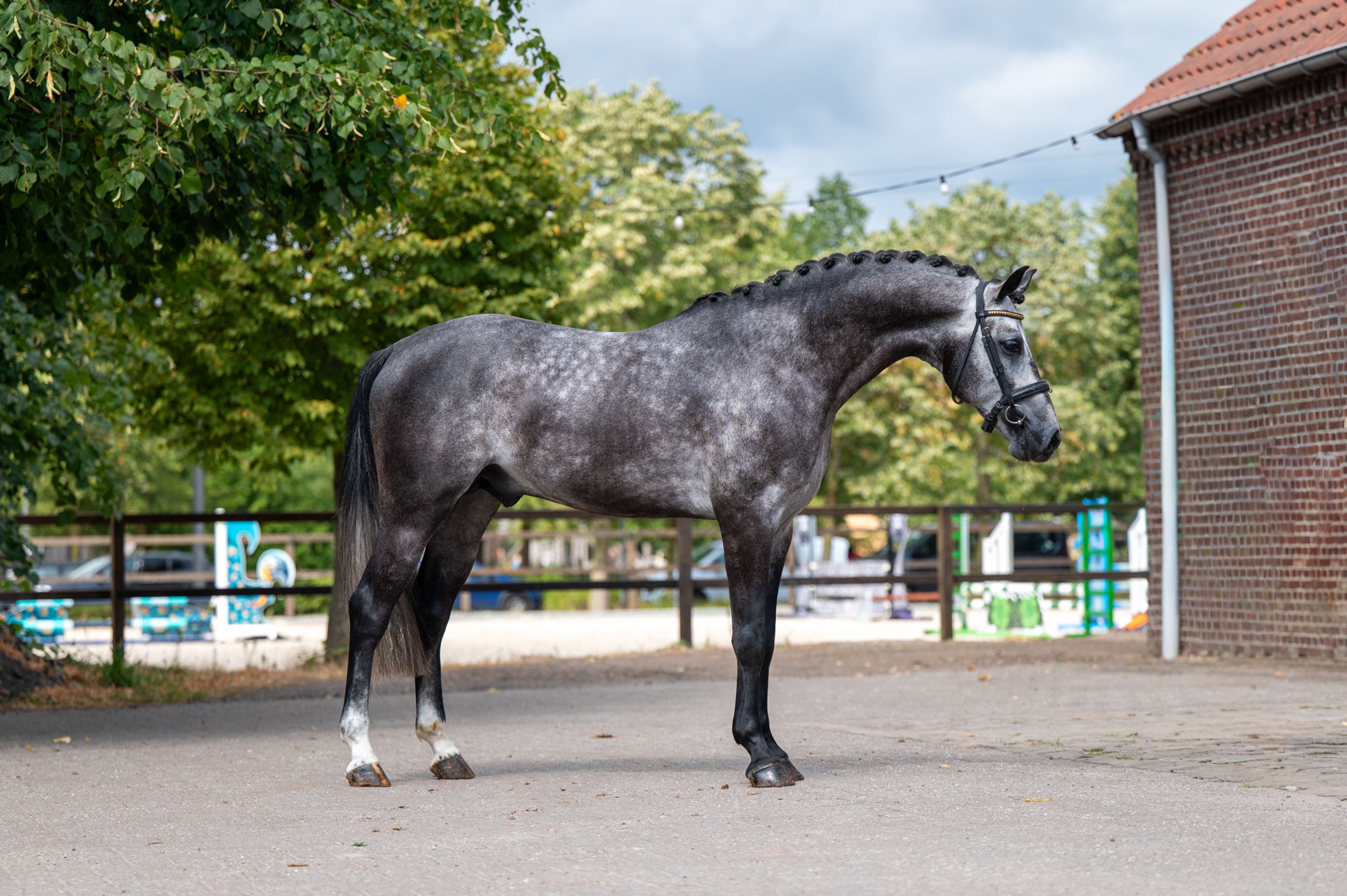 Black Devil (LION HEART Z x ESCAMILLO)