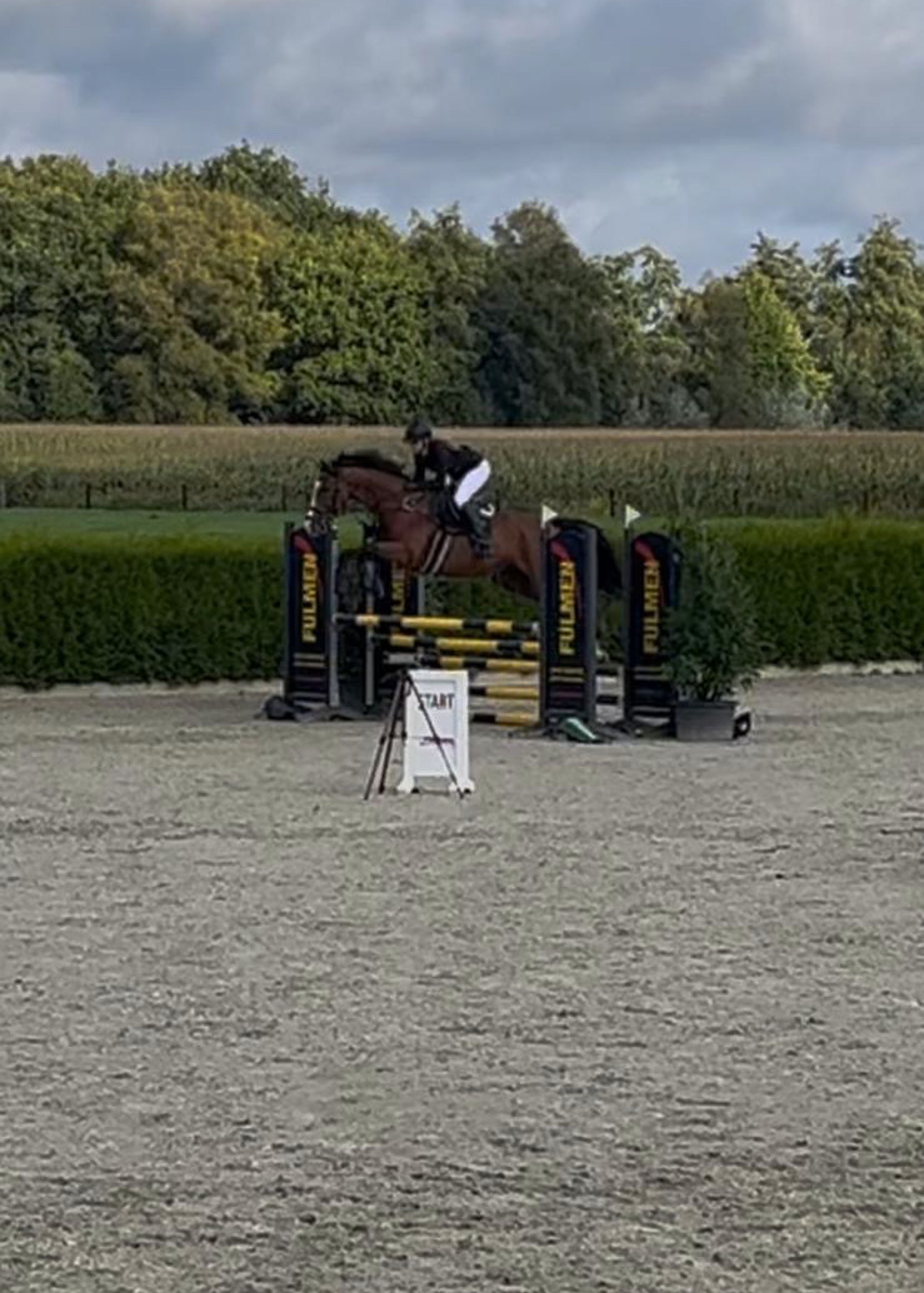 Limoncello Try as we might - Image 2