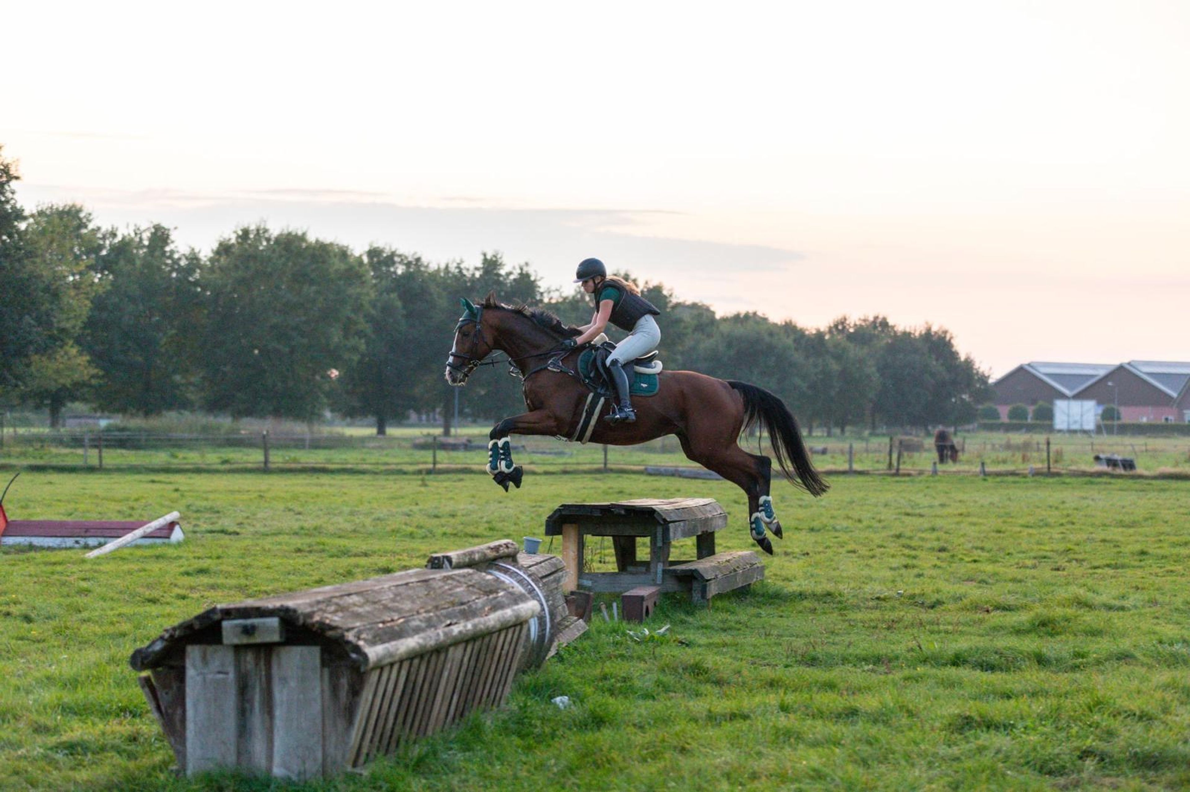 Limoncello Try as we might - Image 3