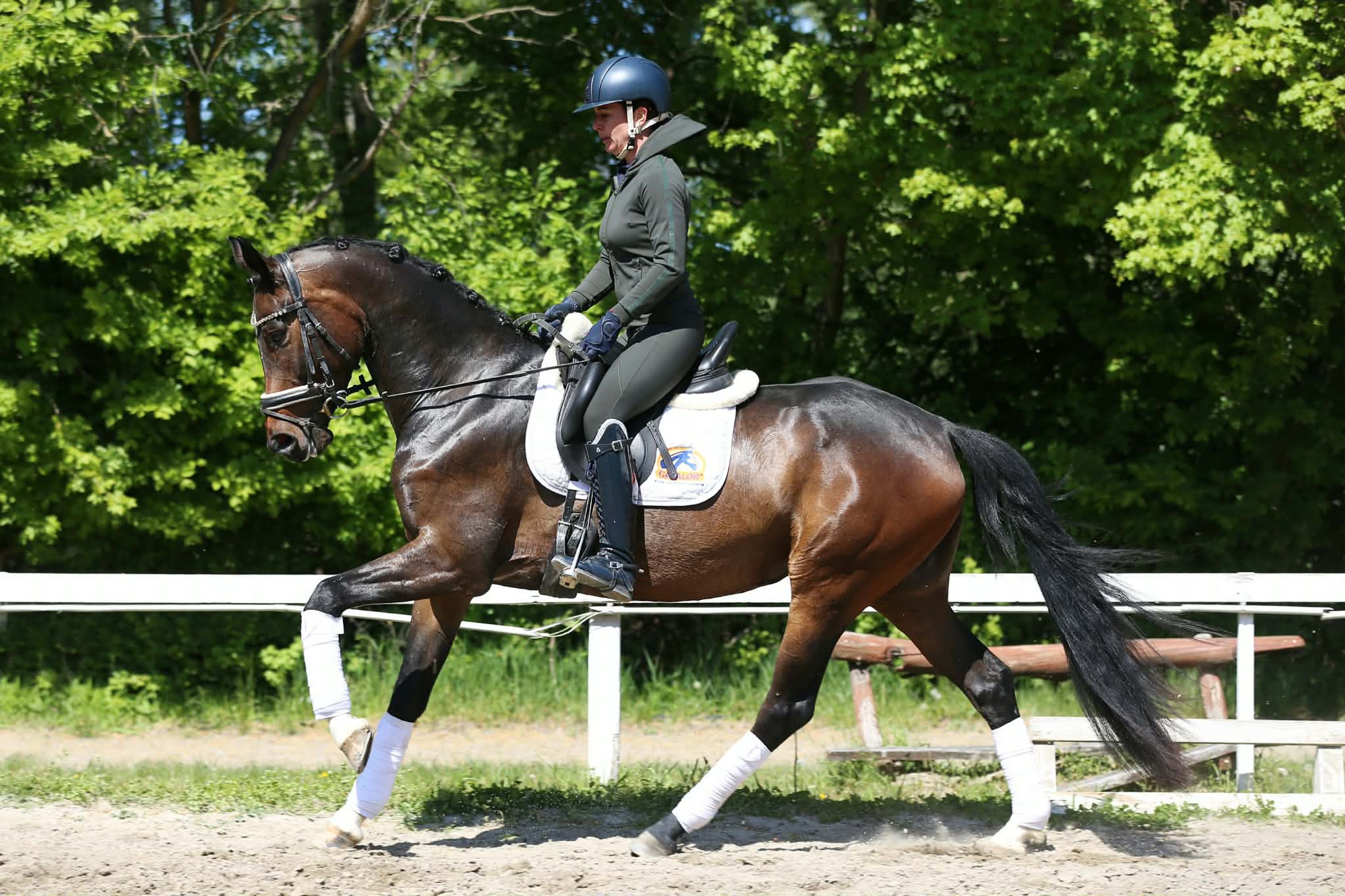 Gentle Touch - Image 1