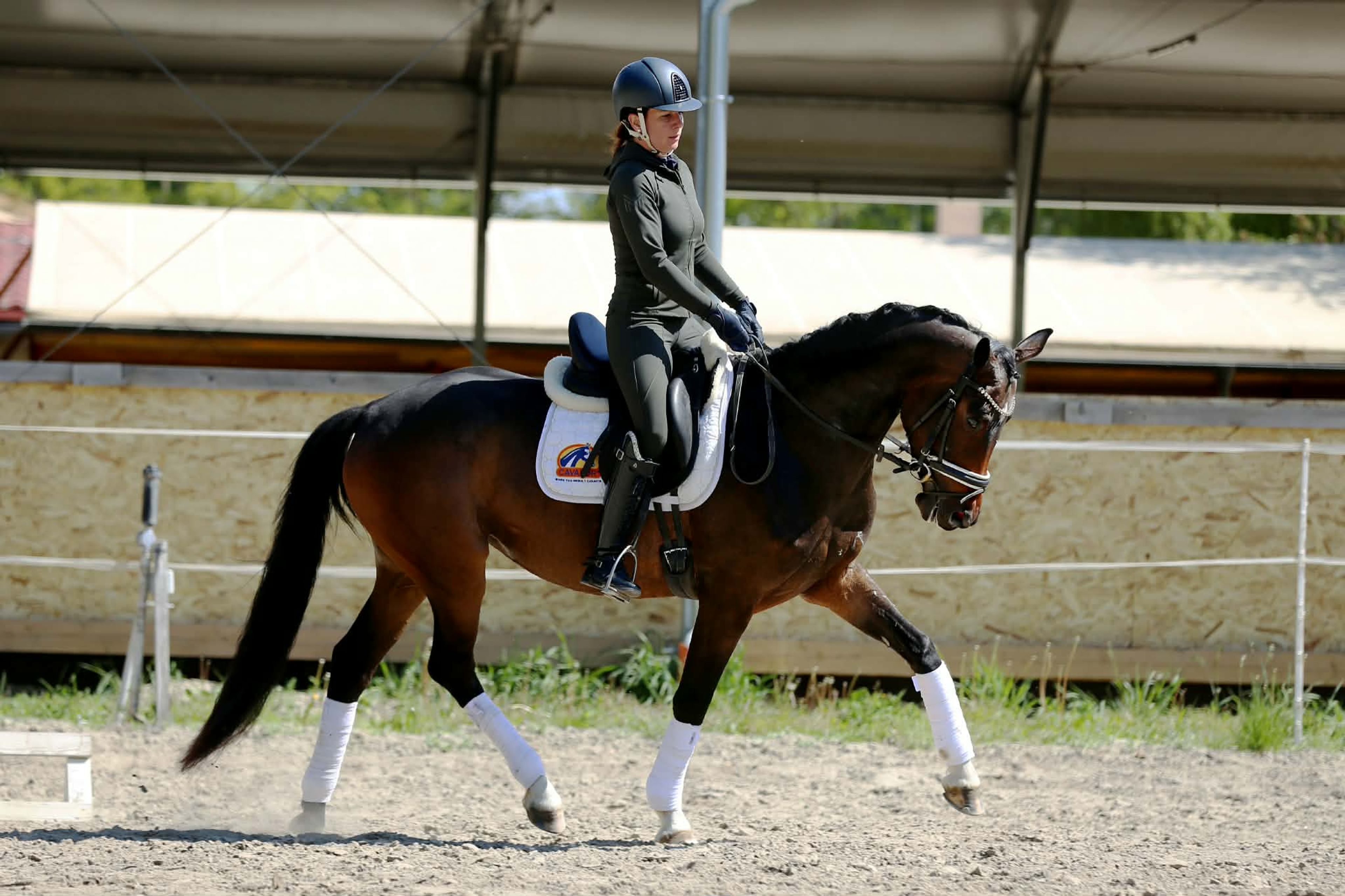 Gentle Touch - Image 2