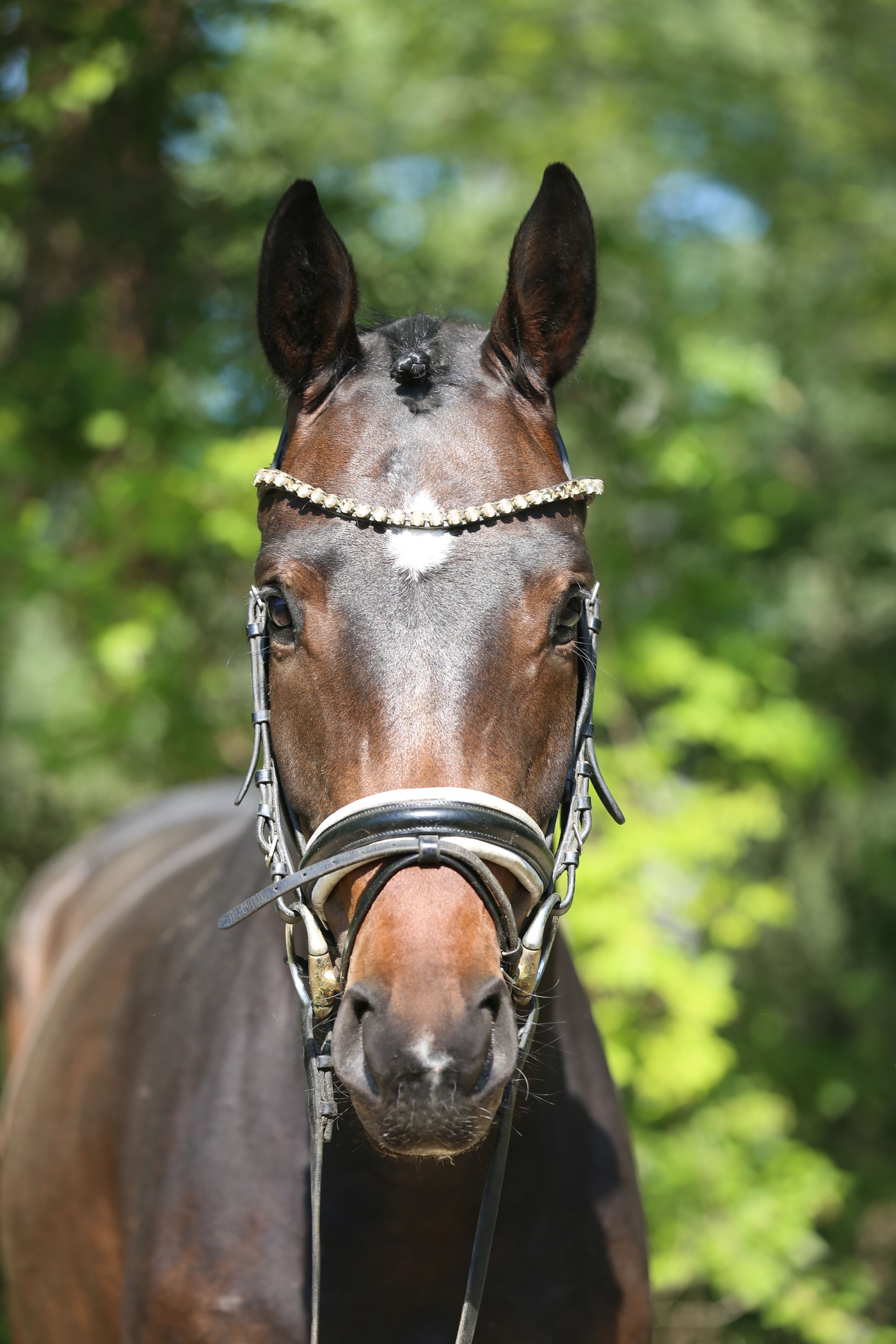 Gentle Touch - Image 3