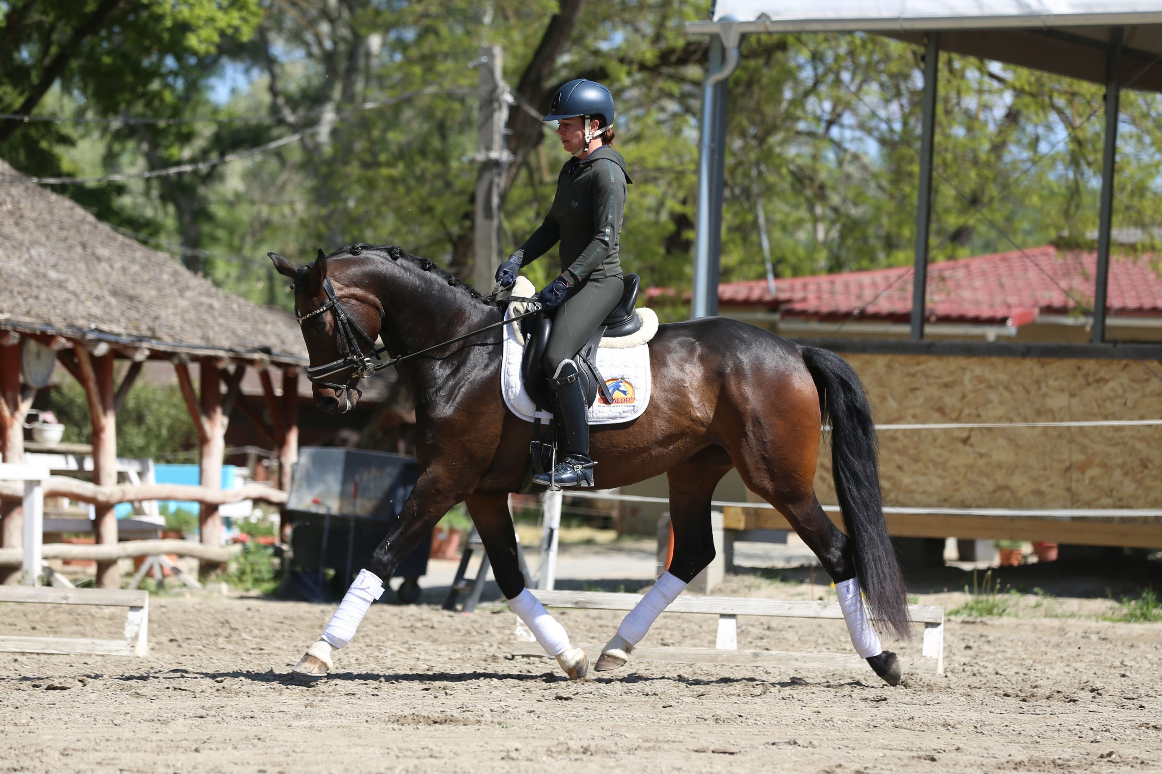 Gentle Touch - Image 5