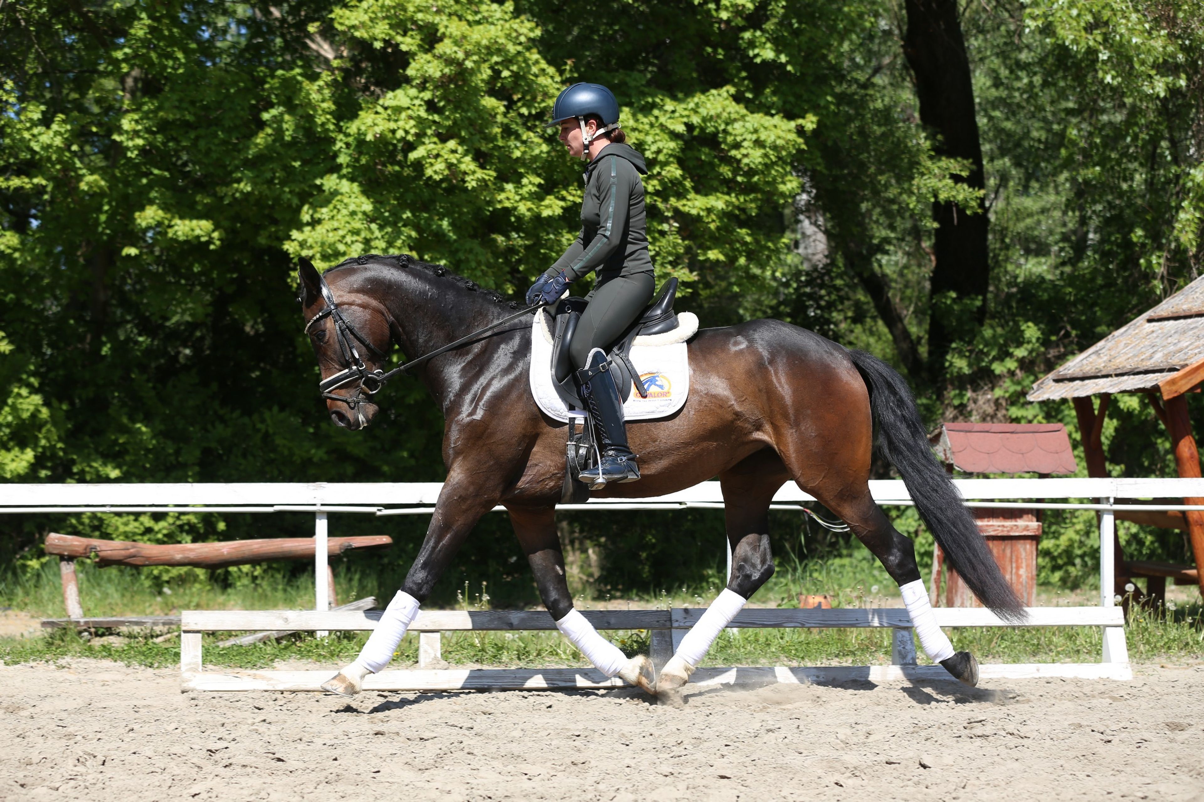 Gentle Touch - Image 6