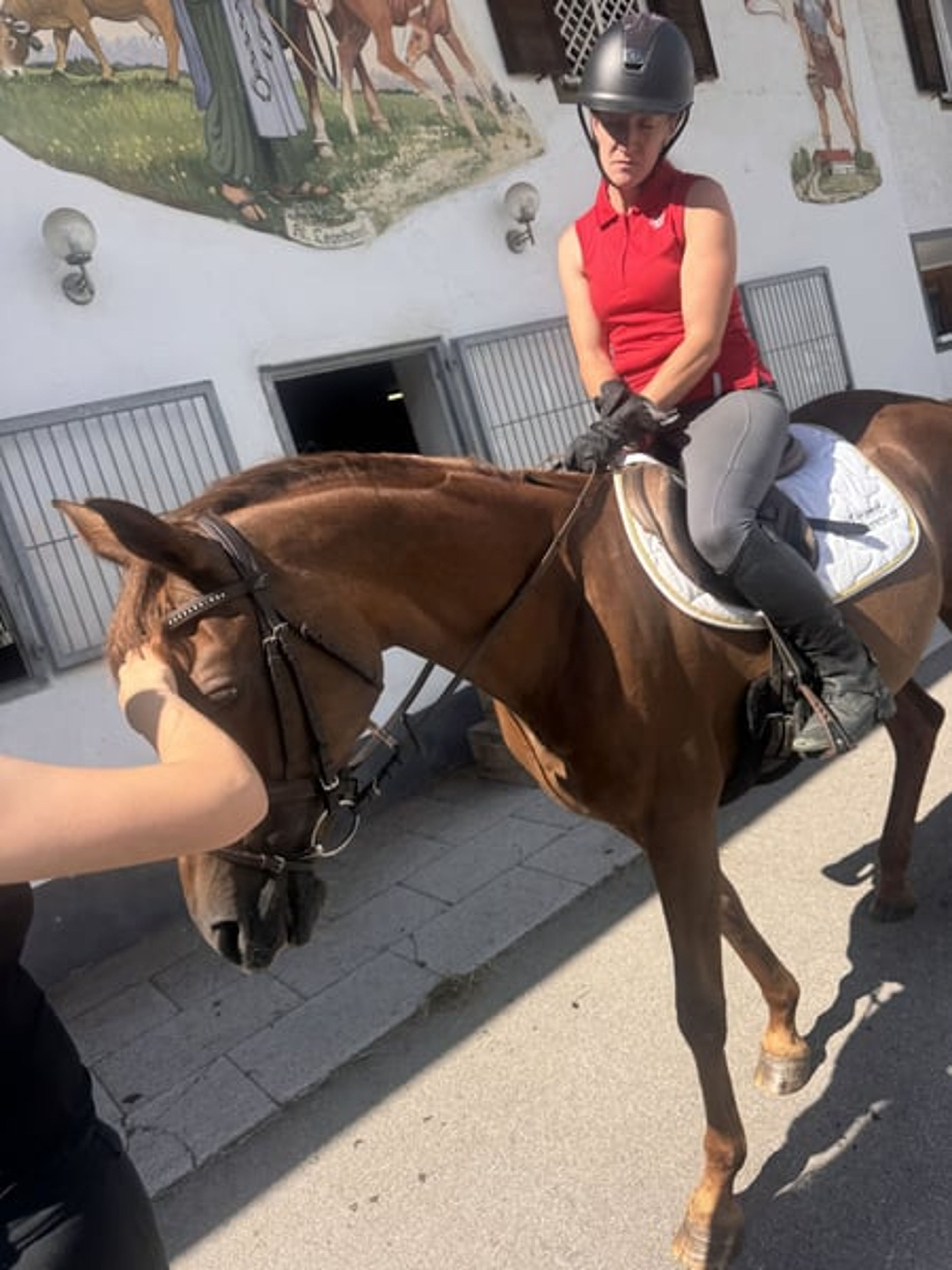 ❤️ Mrs. Arabiata – Special Arabian Mare Looking for an Experienced Home - Image 5