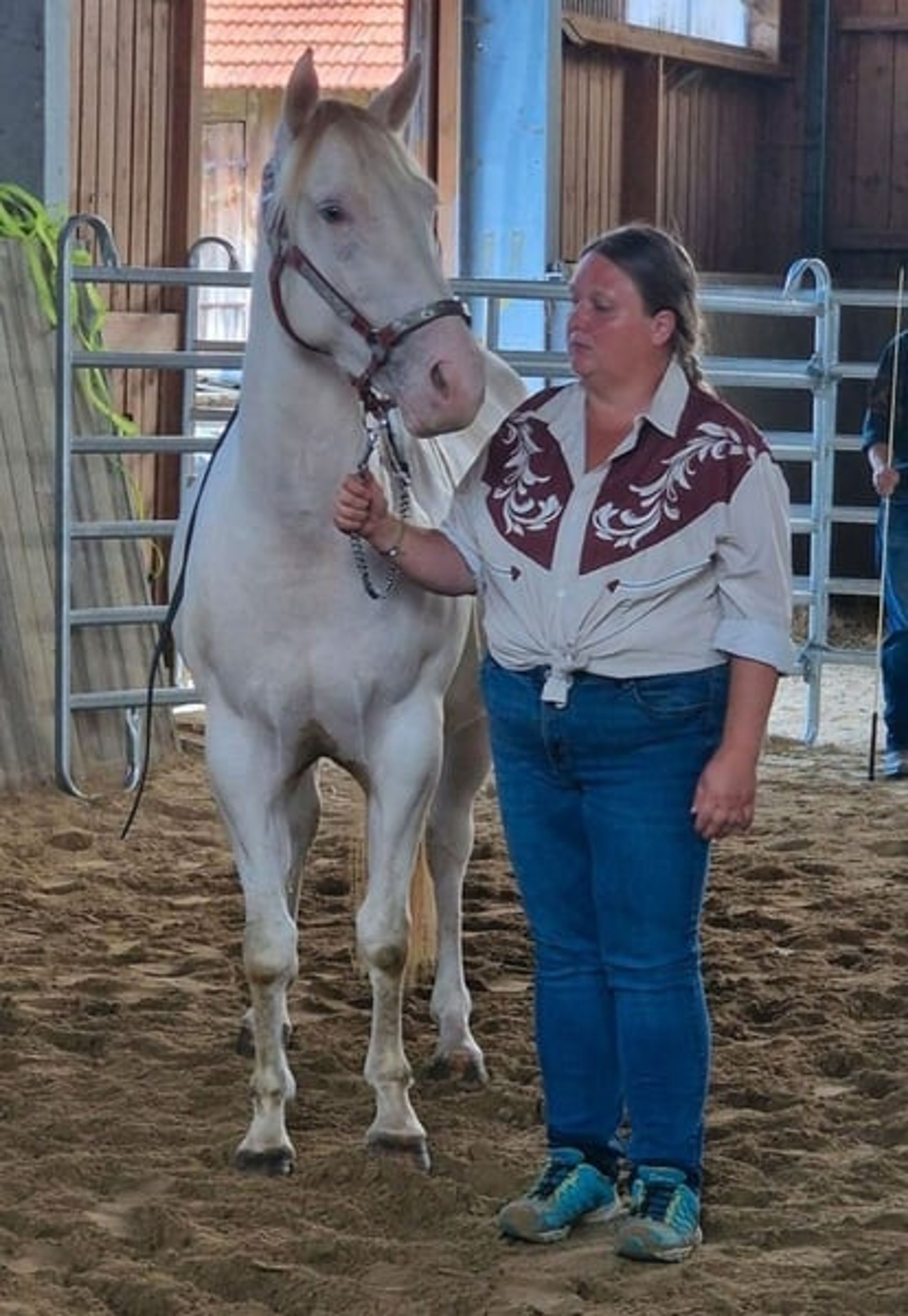 Homozygous Paint mare - Image 7