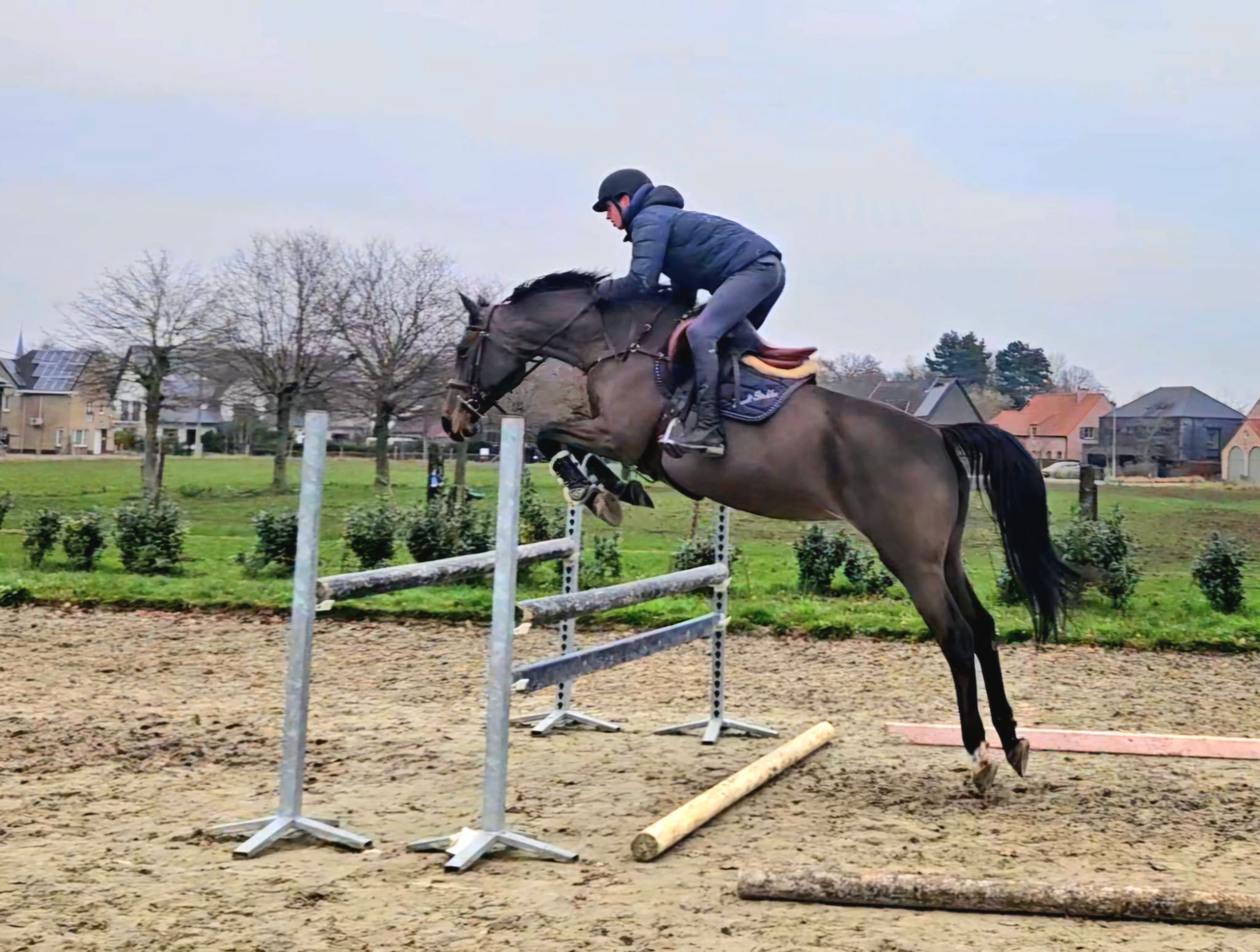 Hivolet Van Beek ☆ (COCONUT GROVE XX  x INDOCTRO) - Image 1