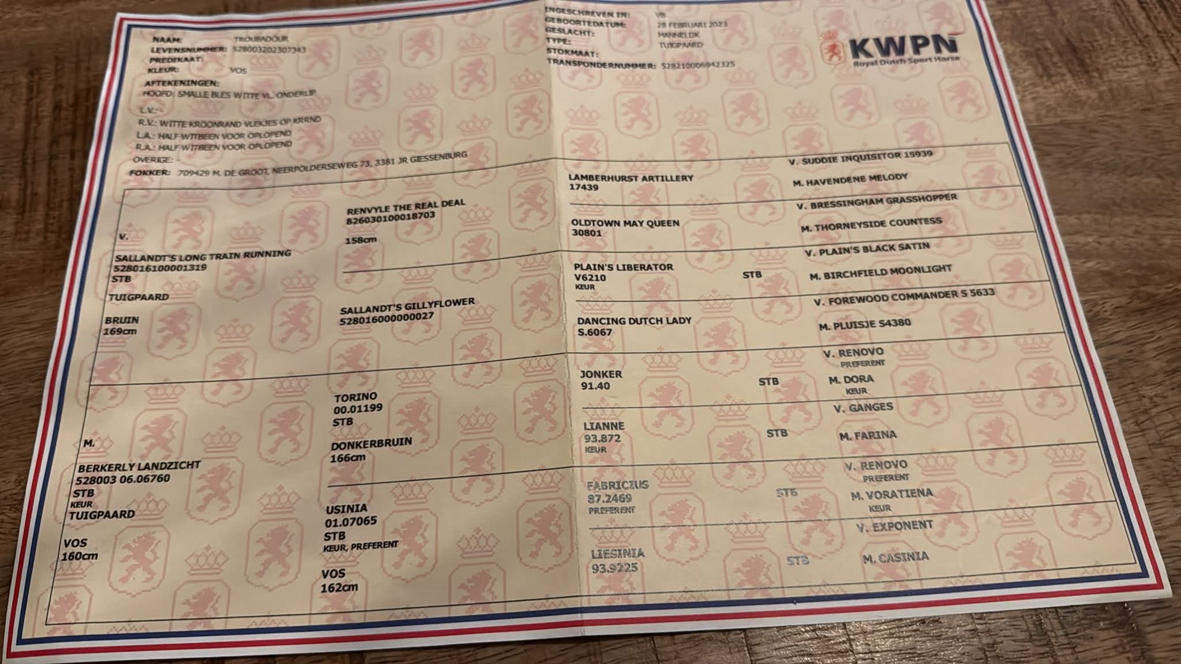 Troubadour - Image 4