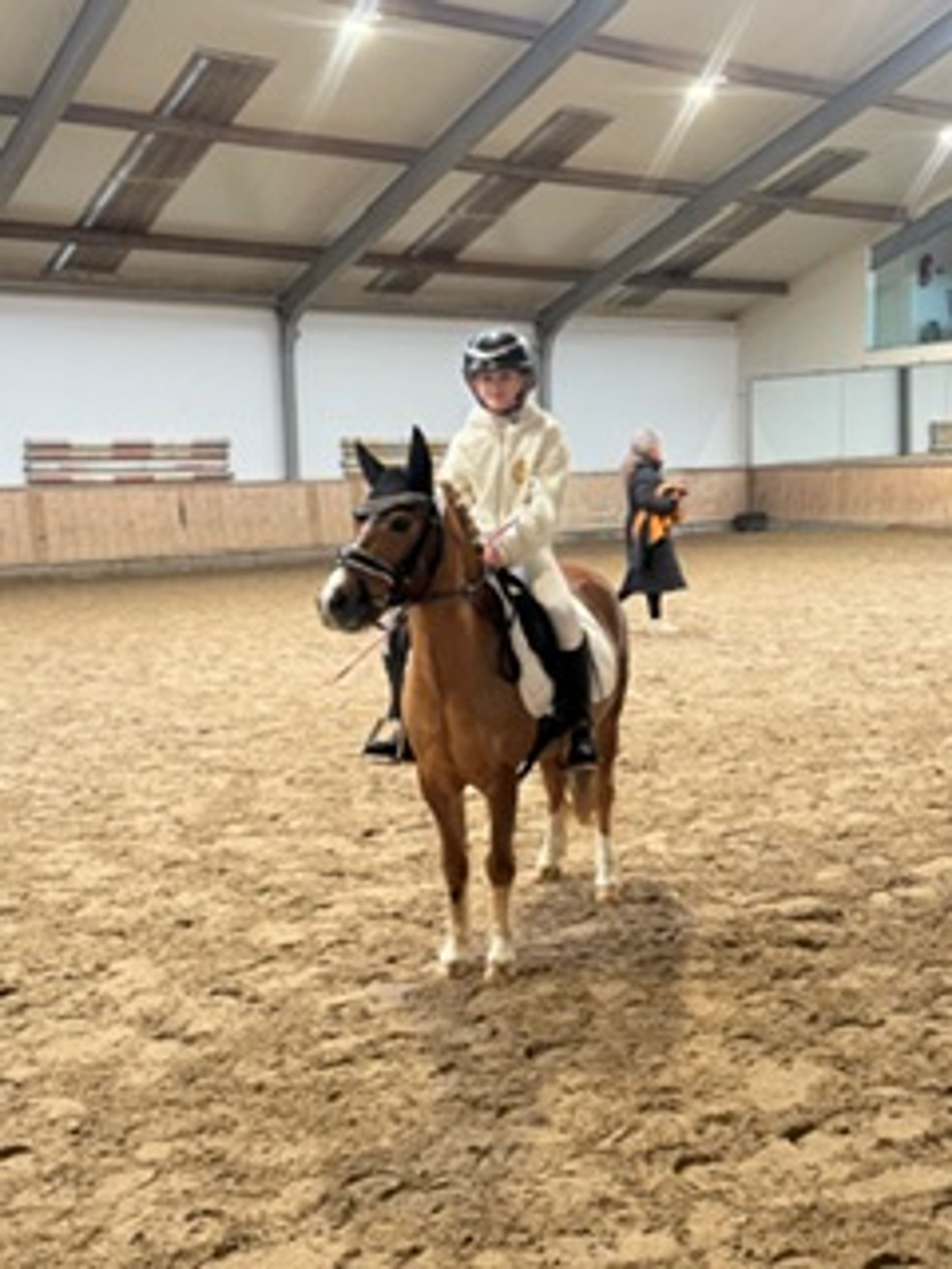 Stormy Boy (Boyke) - Image 1