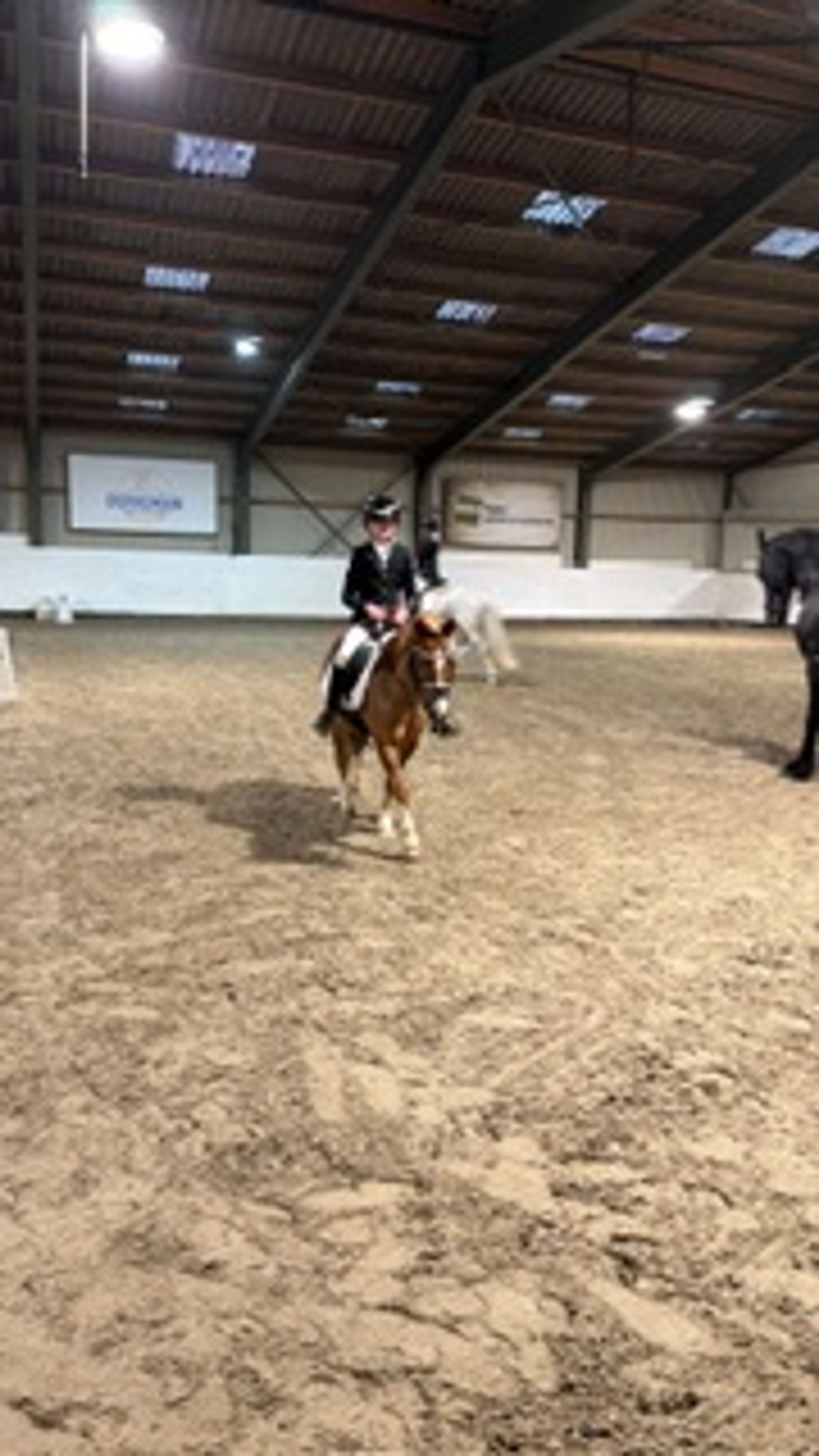 Stormy Boy (Boyke) - Image 2