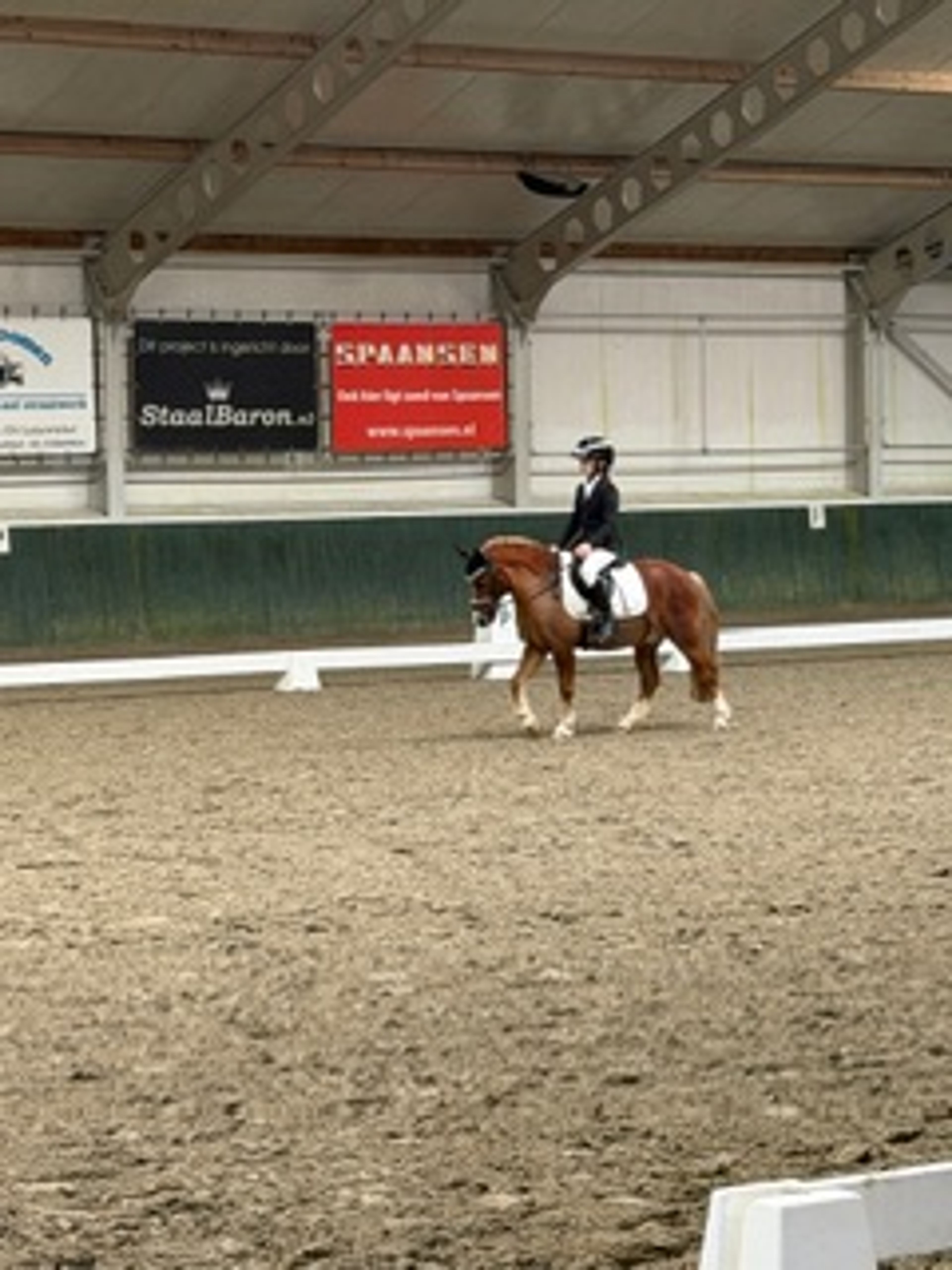 Stormy Boy (Boyke) - Image 3