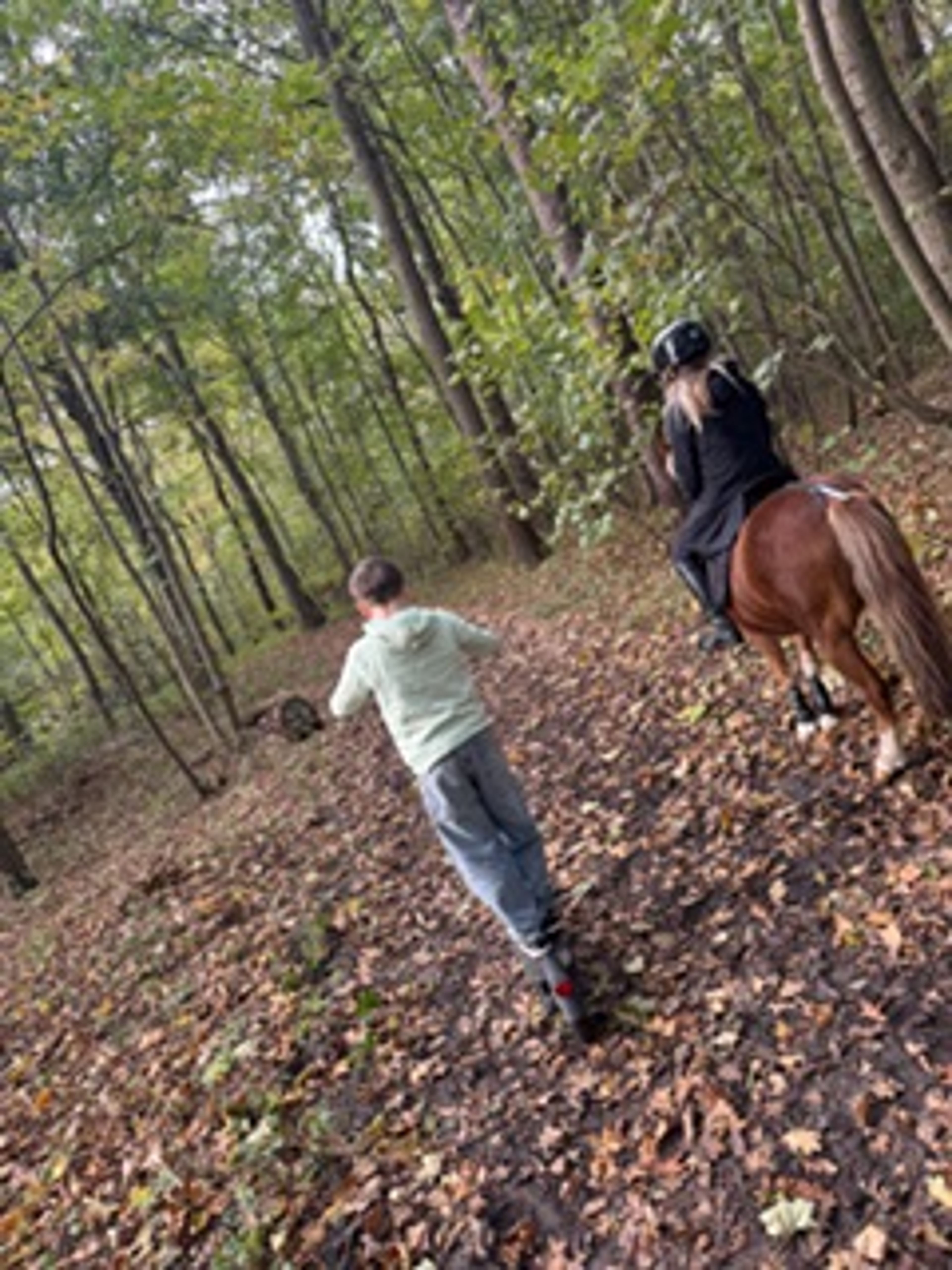 Stormy Boy (Boyke) - Image 4