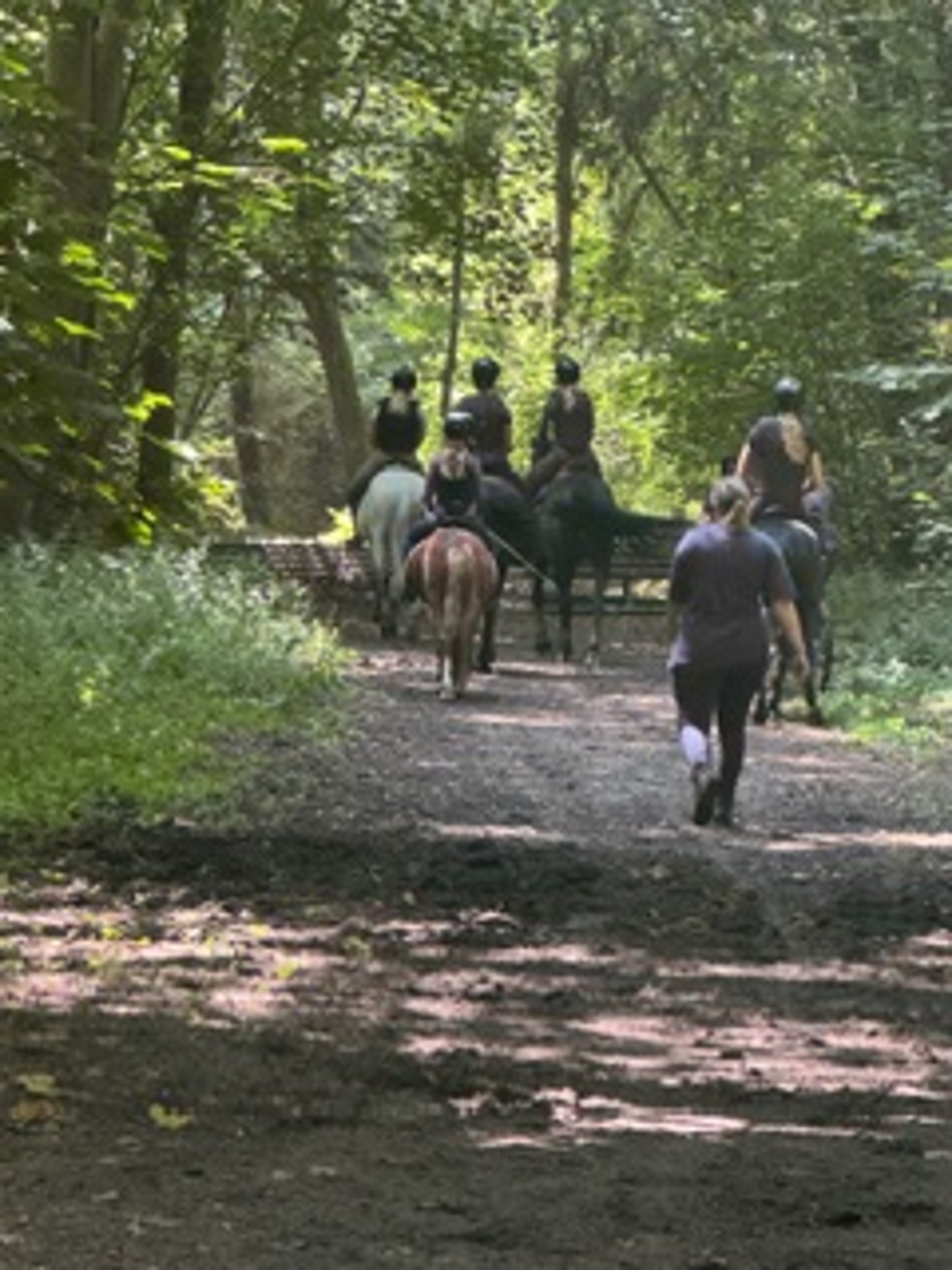 Stormy Boy (Boyke) - Image 6