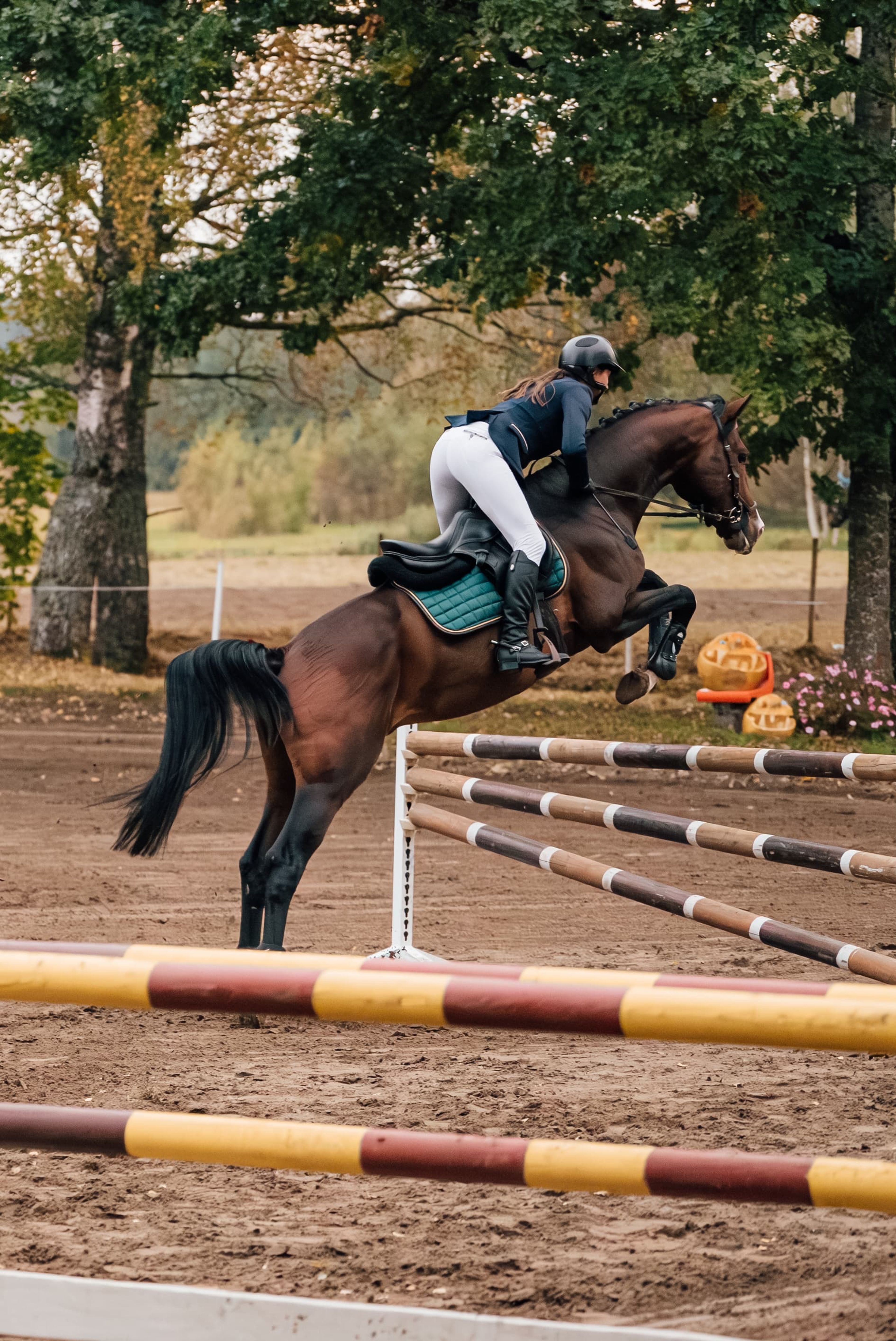 Propulsion - Image 2