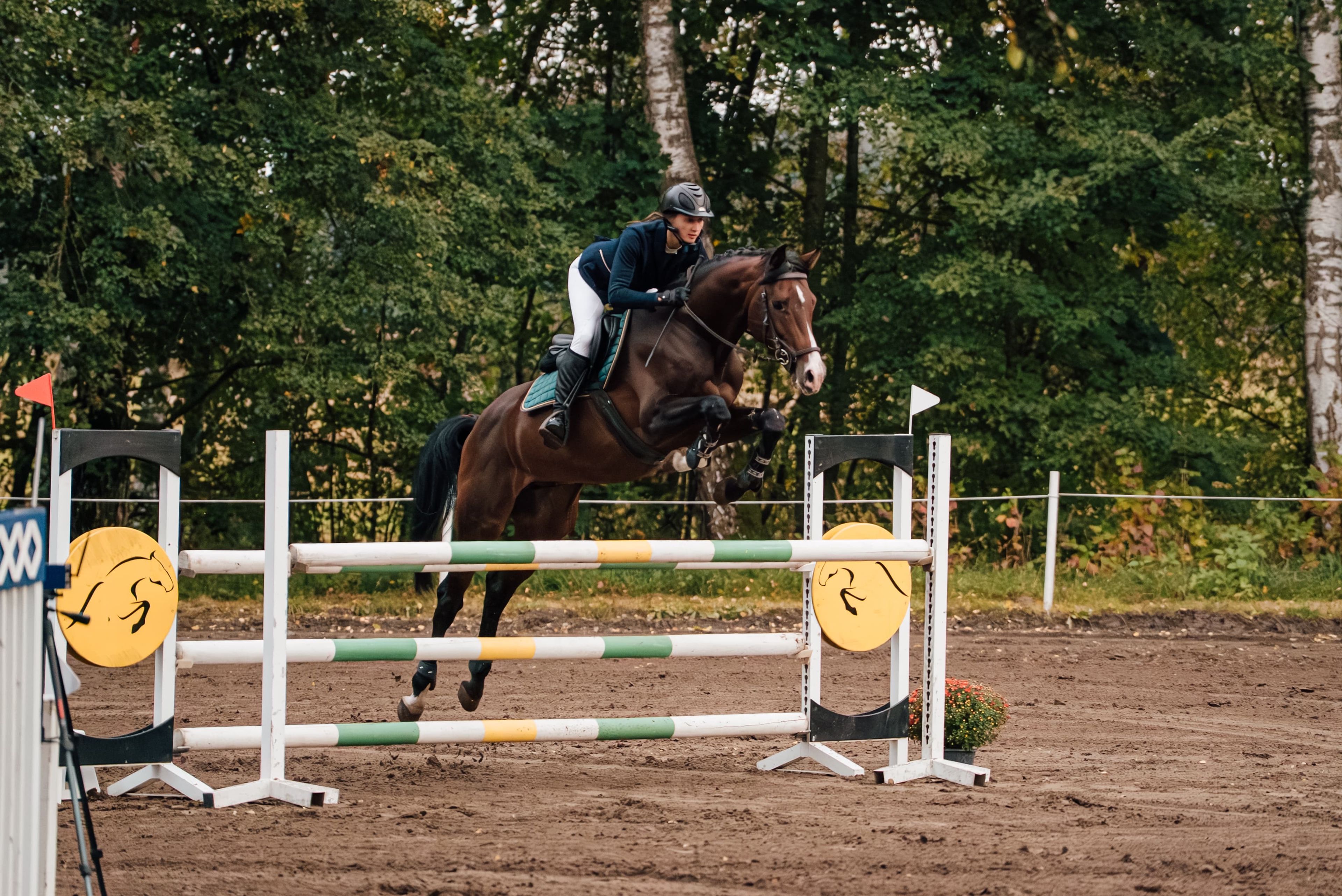 Propulsion - Image 3