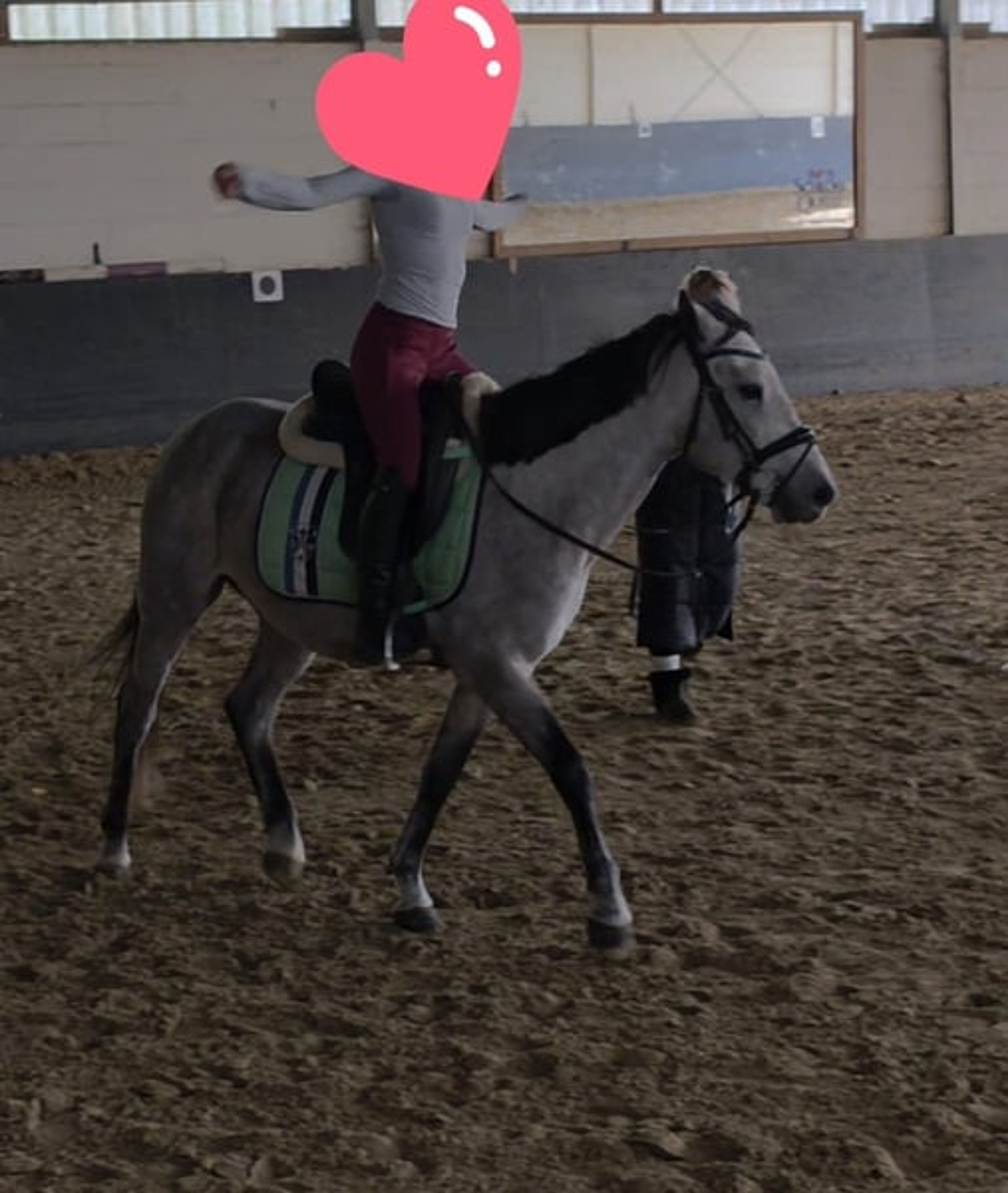 Dream pony looking for its people ♥️ - Image 4