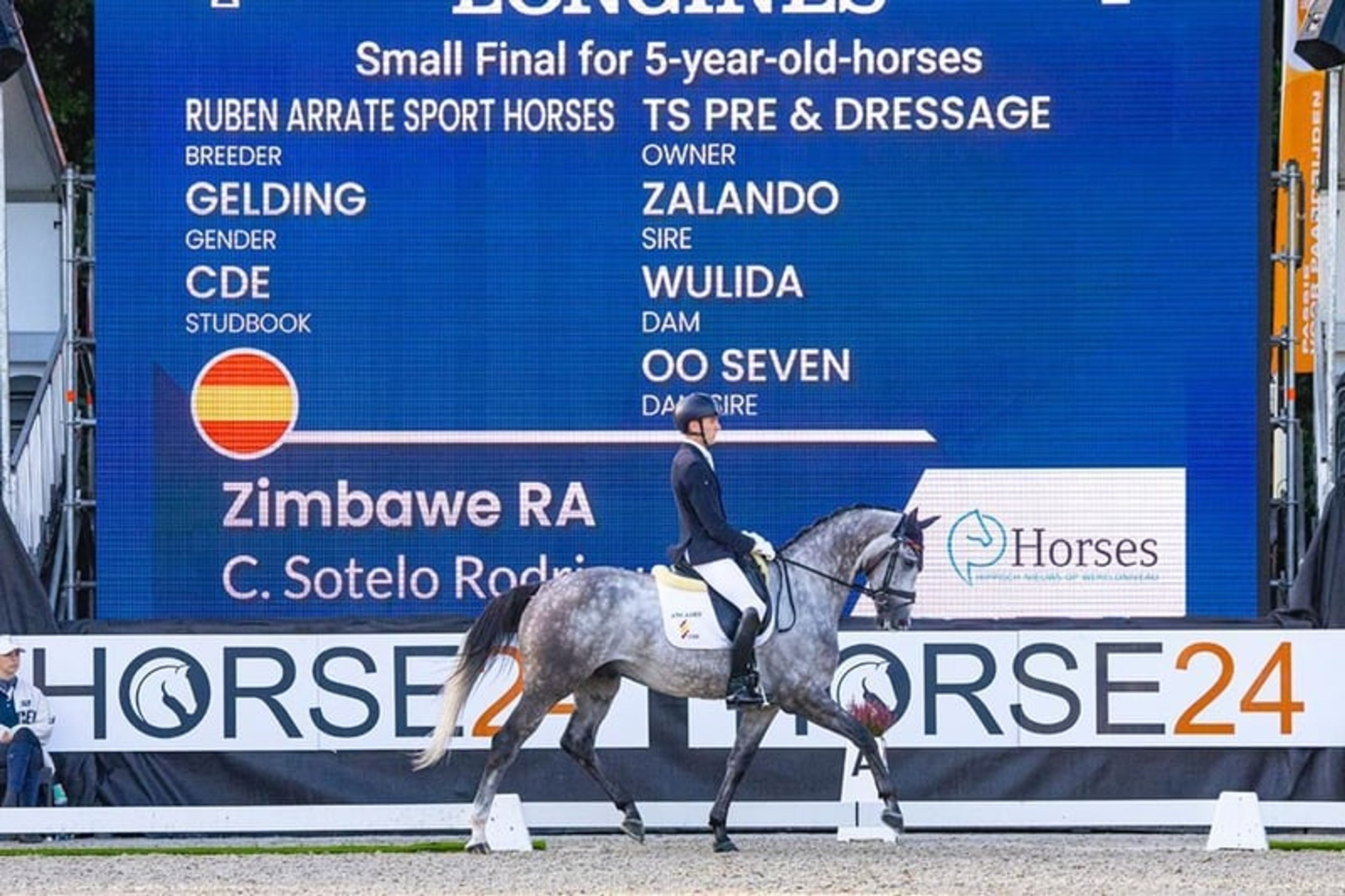 CDE, 2017, gelding, roan, 16.1 hh
