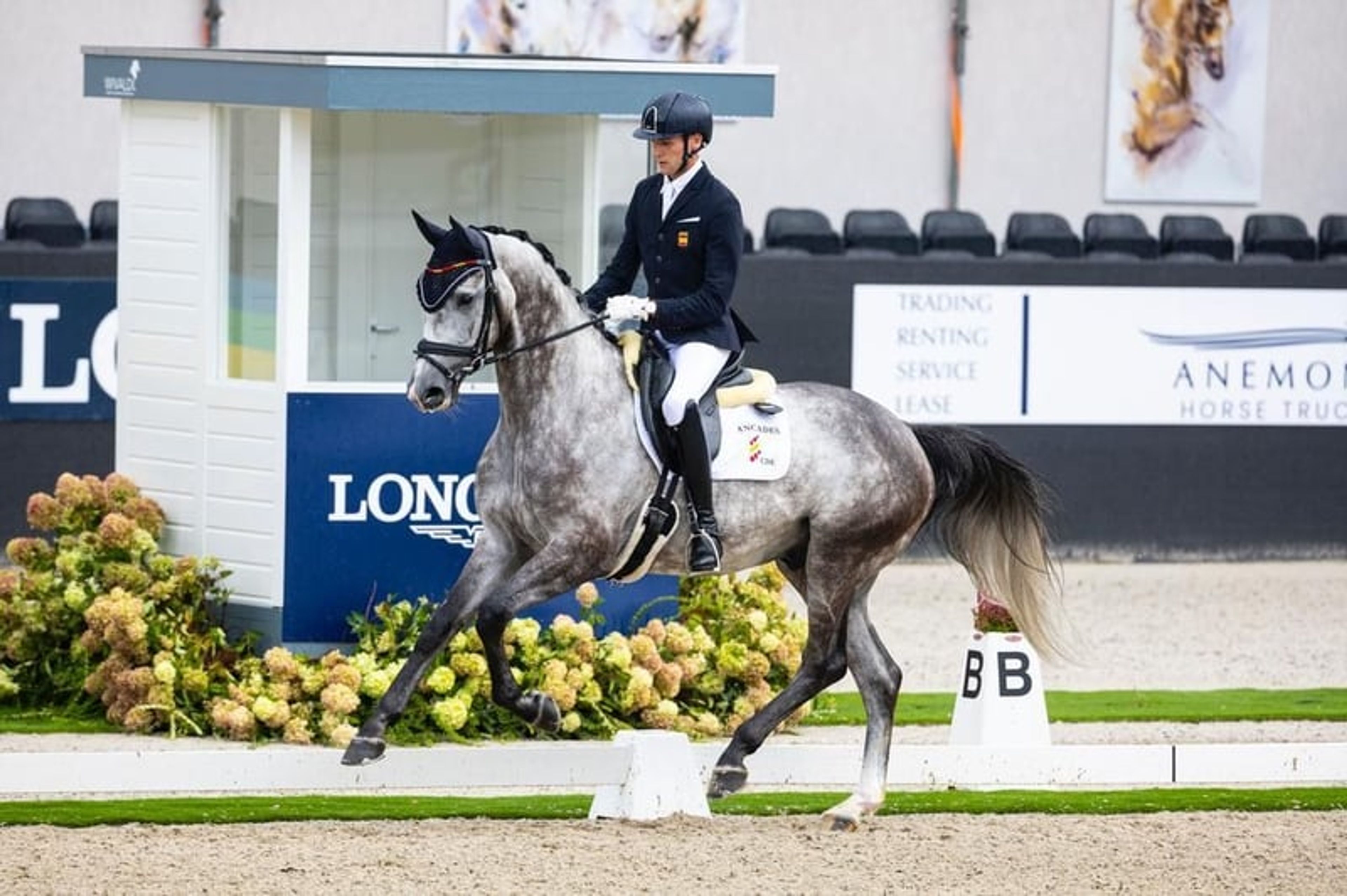 CDE, 2017, gelding, roan, 16.1 hh - Image 3