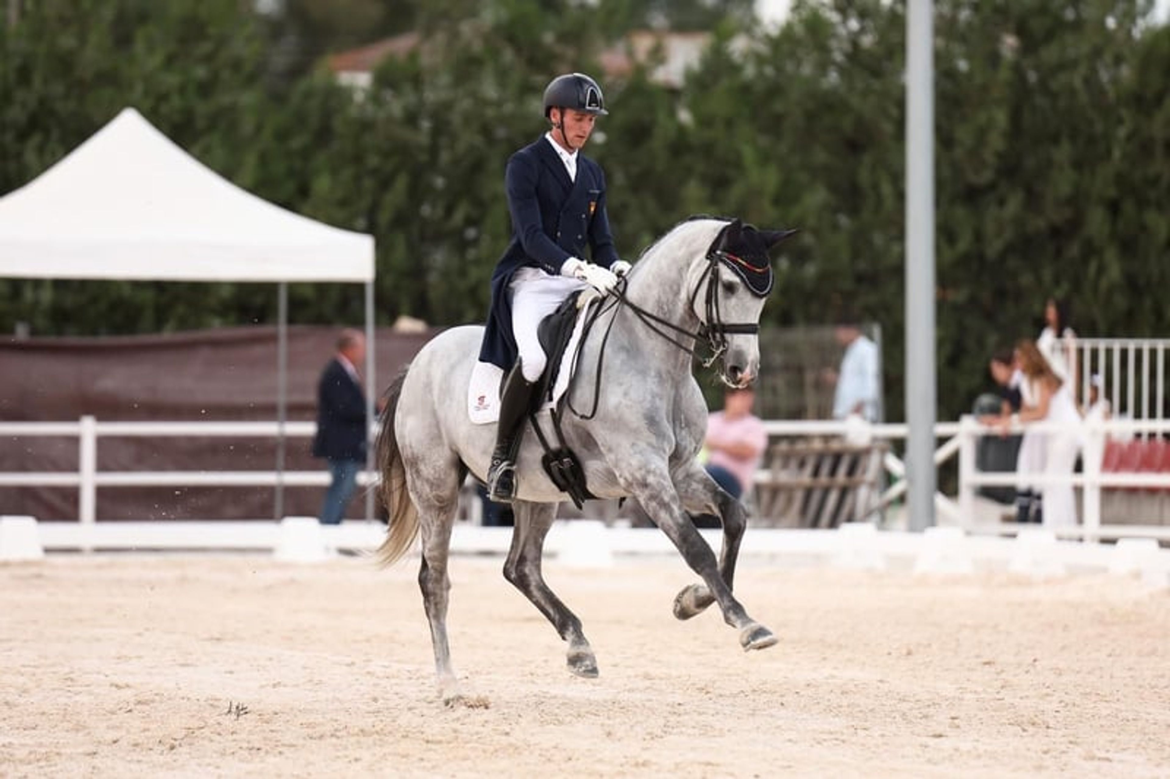 CDE, 2017, gelding, roan, 16.1 hh - Image 7