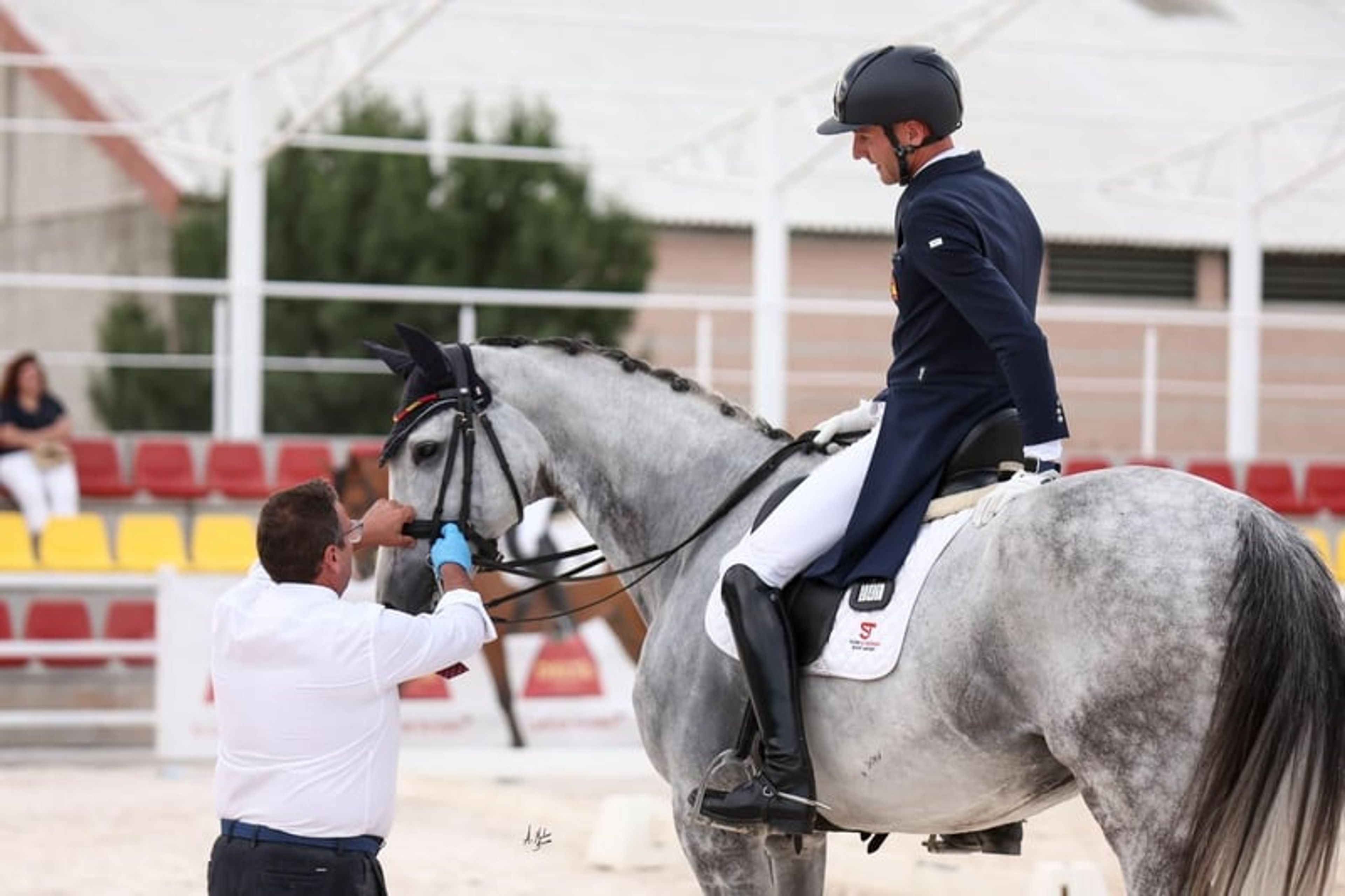 CDE, 2017, gelding, roan, 16.1 hh - Image 9