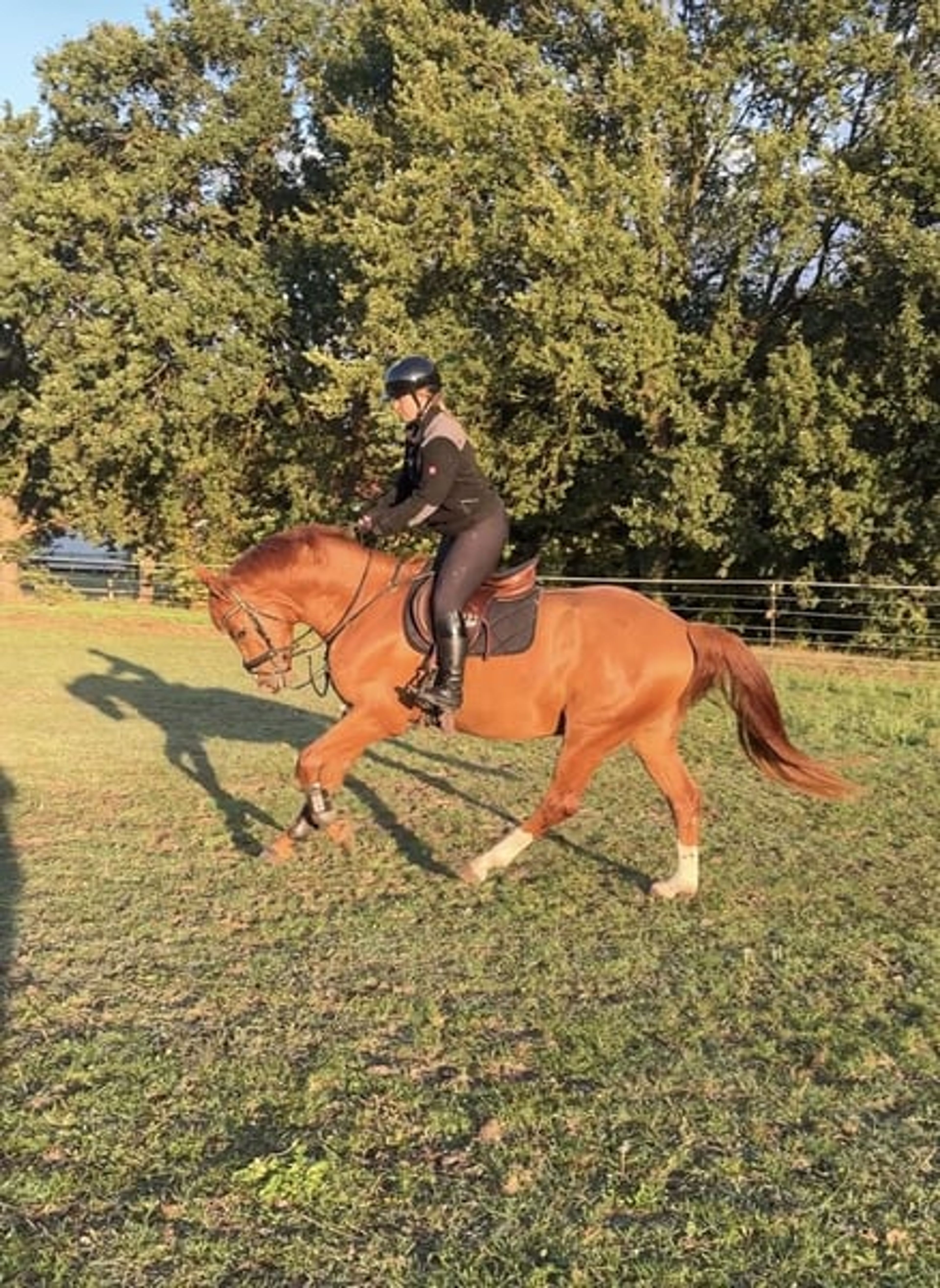 Wonderful all-rounder with a big heart video 2