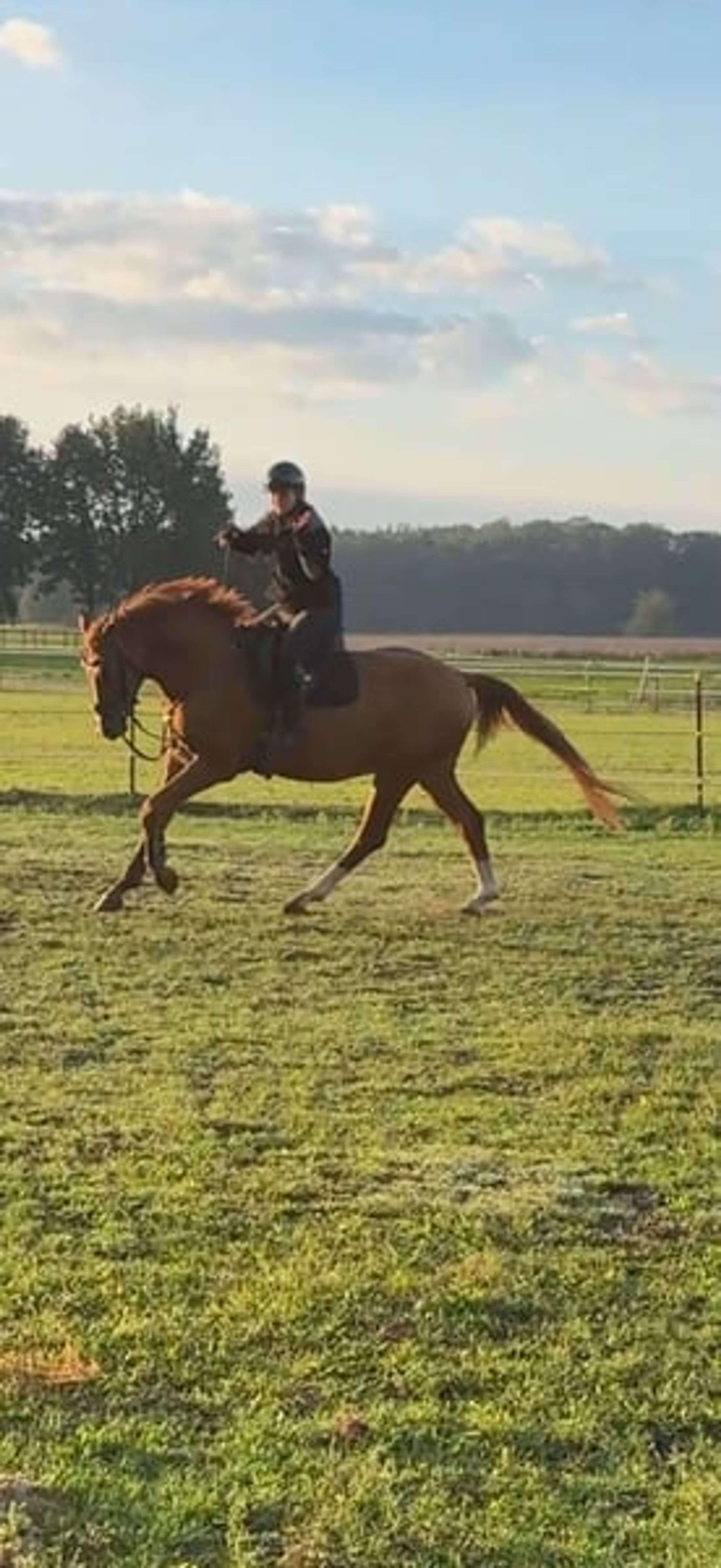 Wonderful all-rounder with a big heart - Image 3