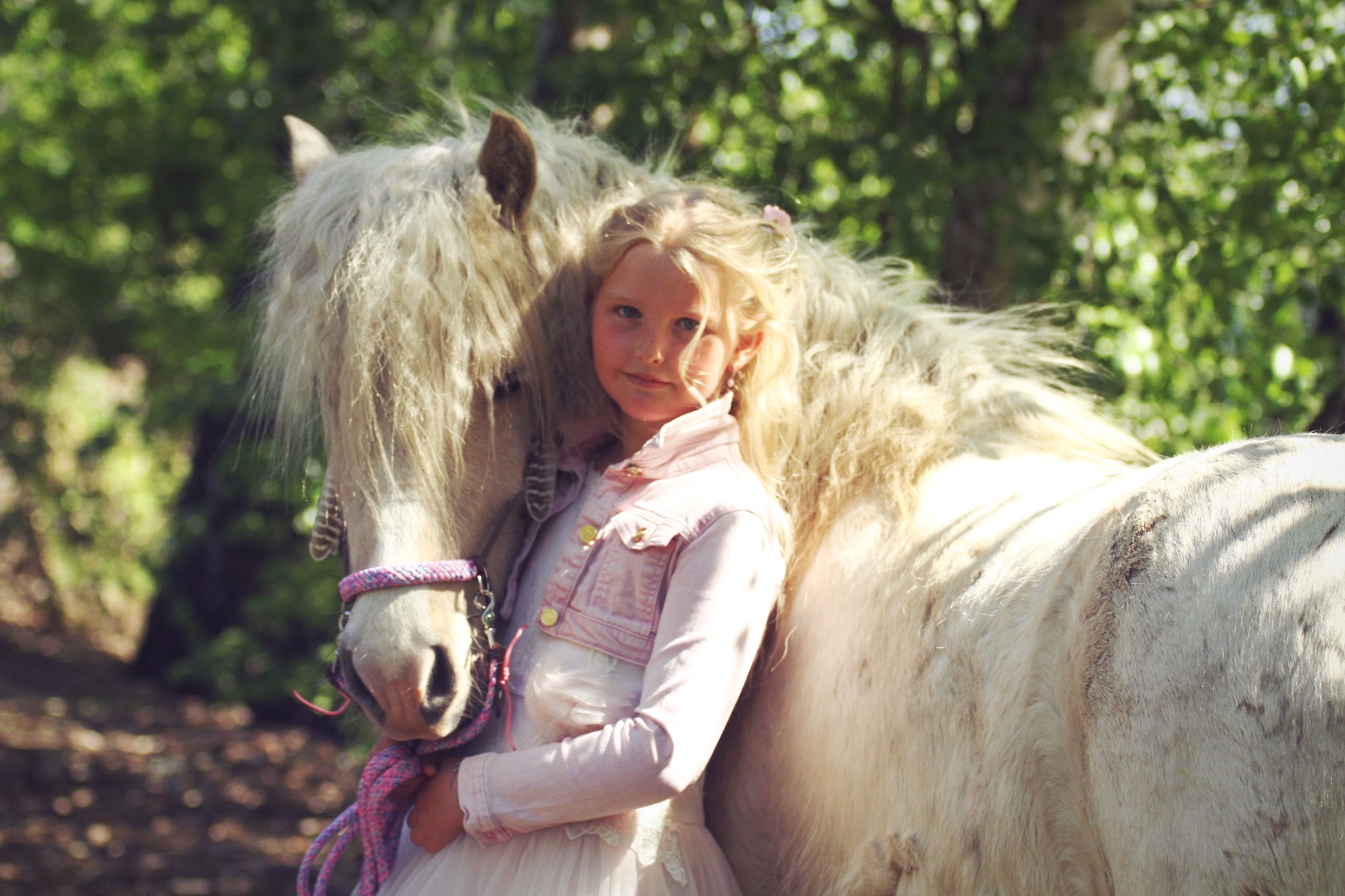 Ína frá árroõa “Cupcake” - Image 6