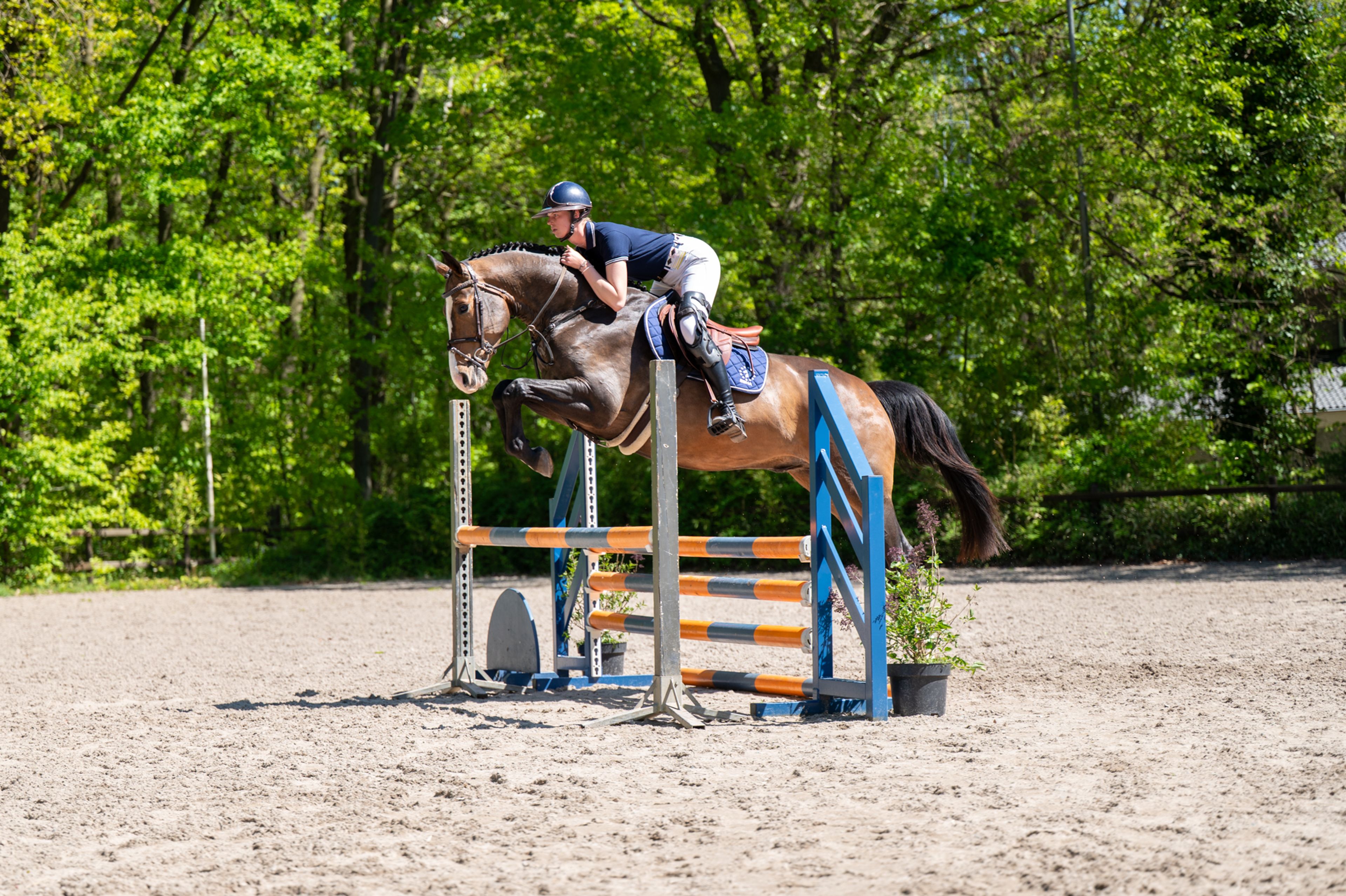 Ratina (ADSL x CABRIO VD HEFFINCK)
