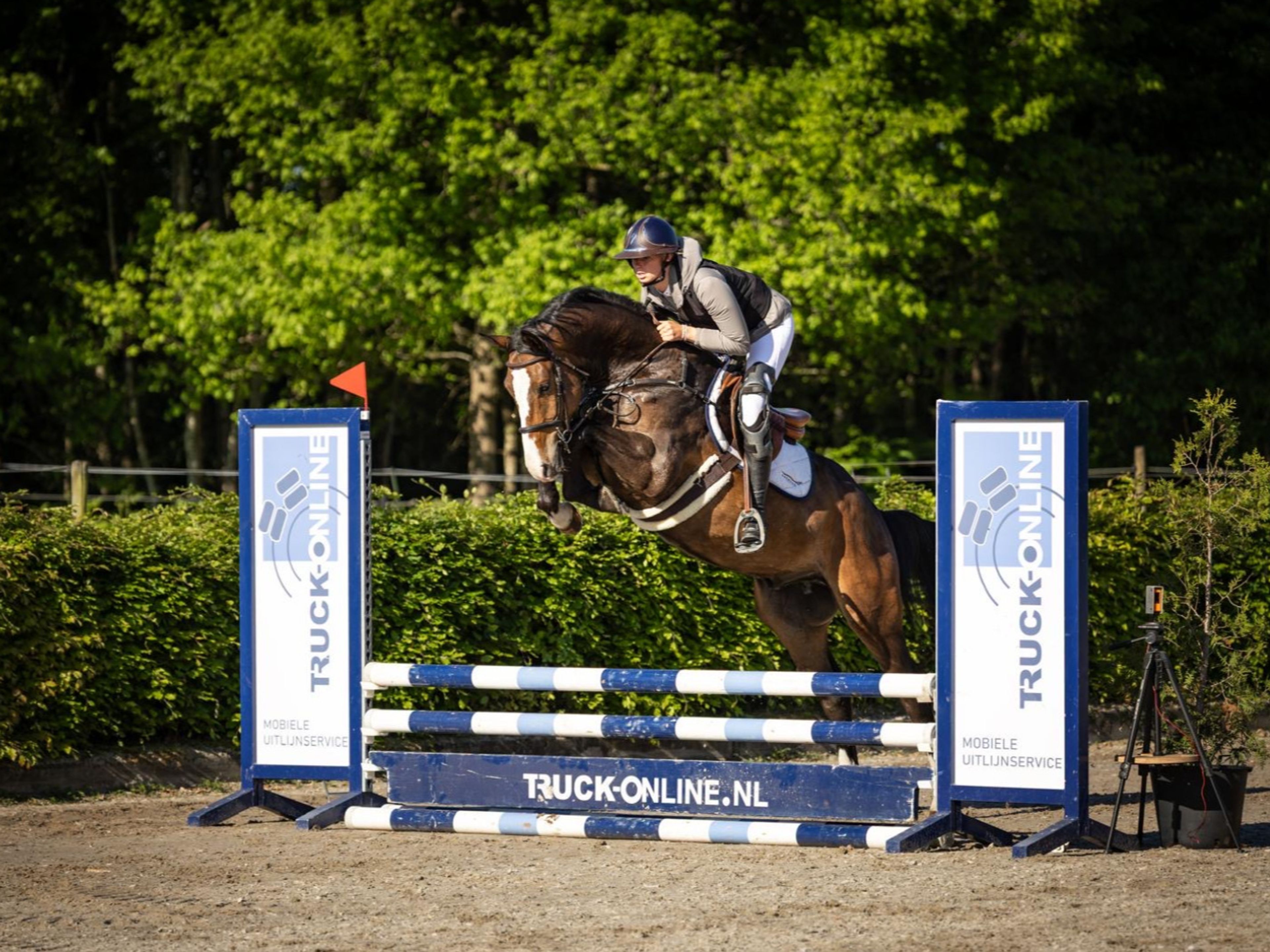 Ratina (ADSL x CABRIO VD HEFFINCK) - Image 3