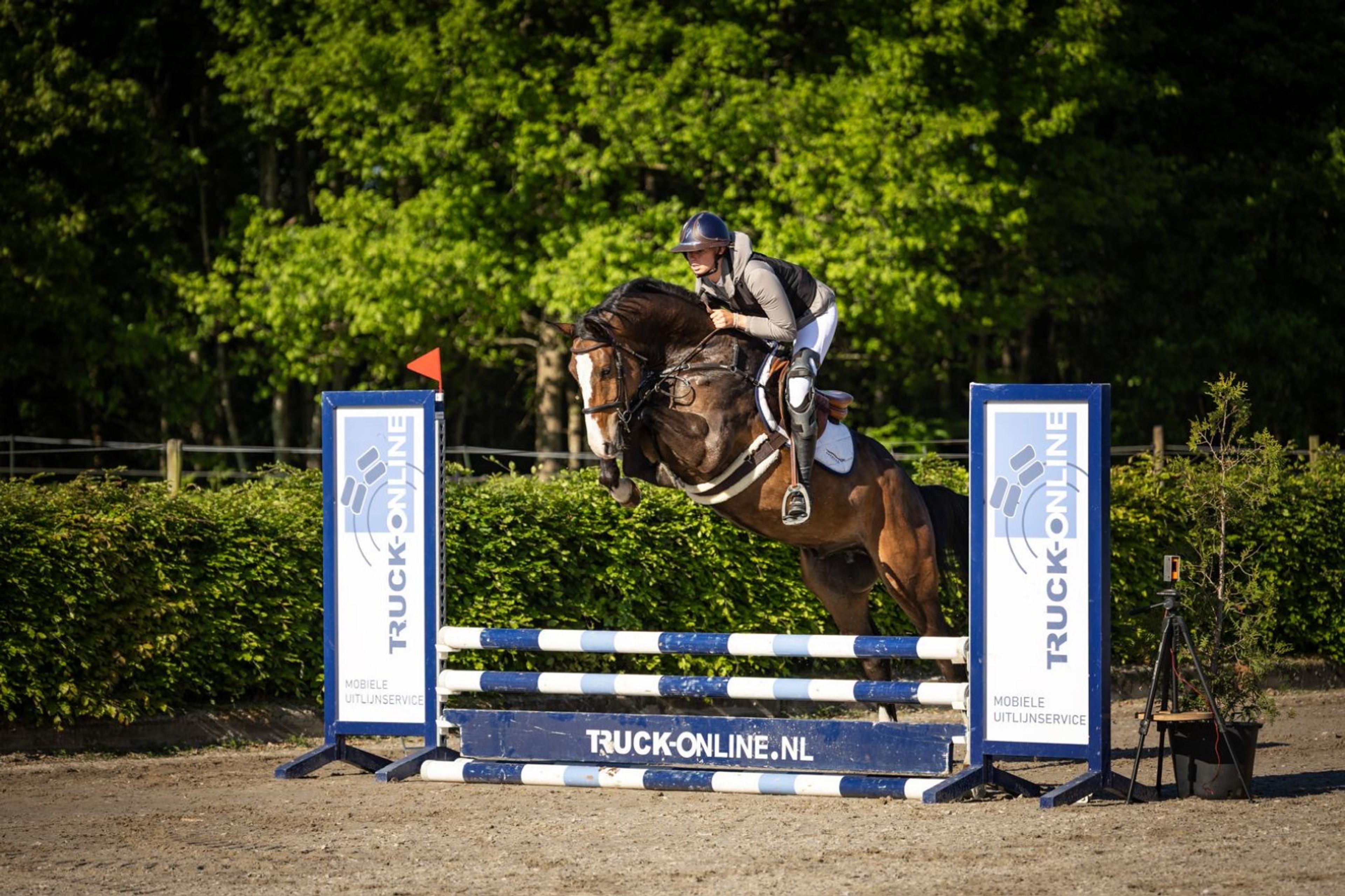 Ratina (ADSL x CABRIO VD HEFFINCK) - Image 4