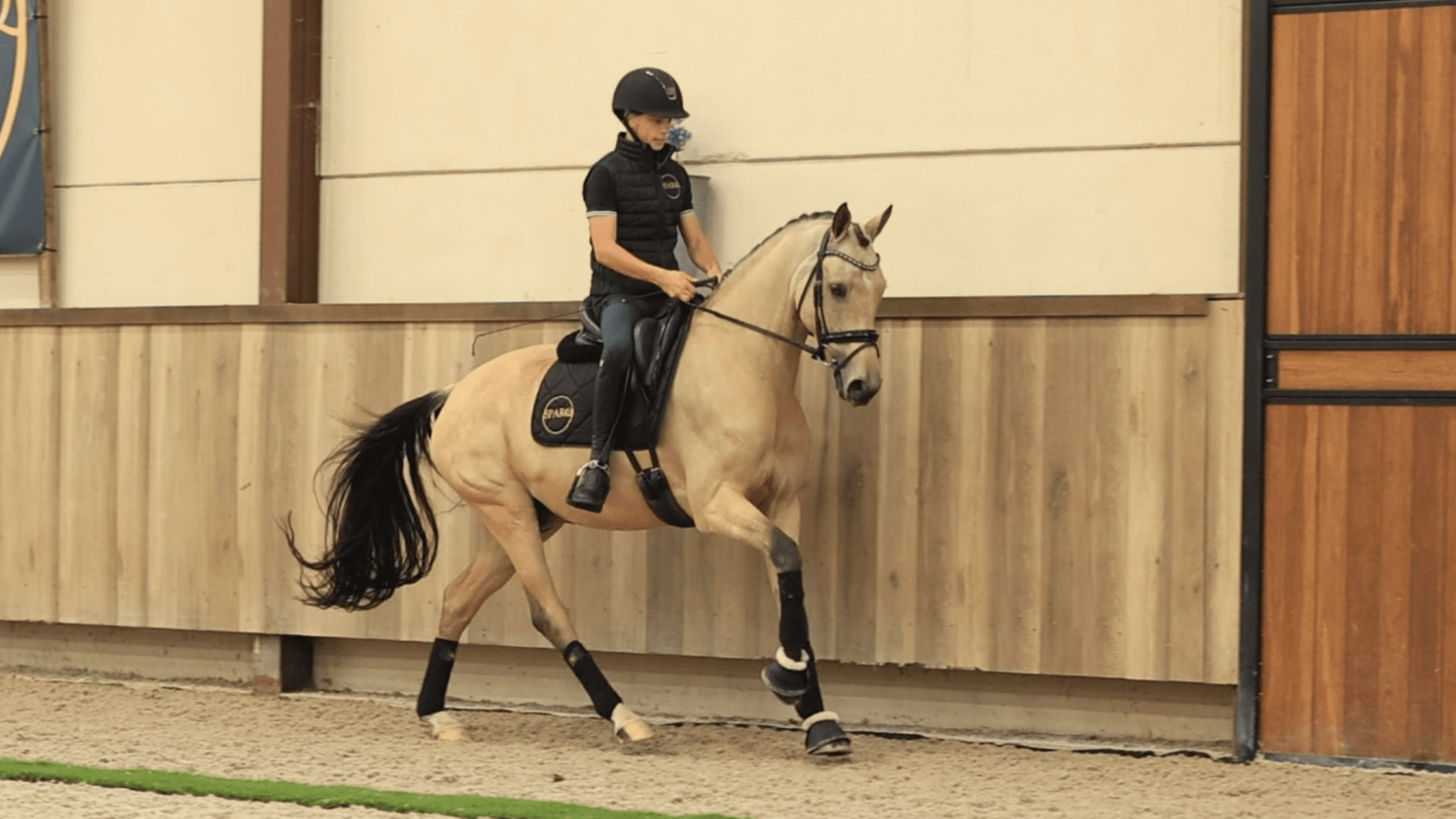 Castenrayseweg Champagnero WNE - Image 7