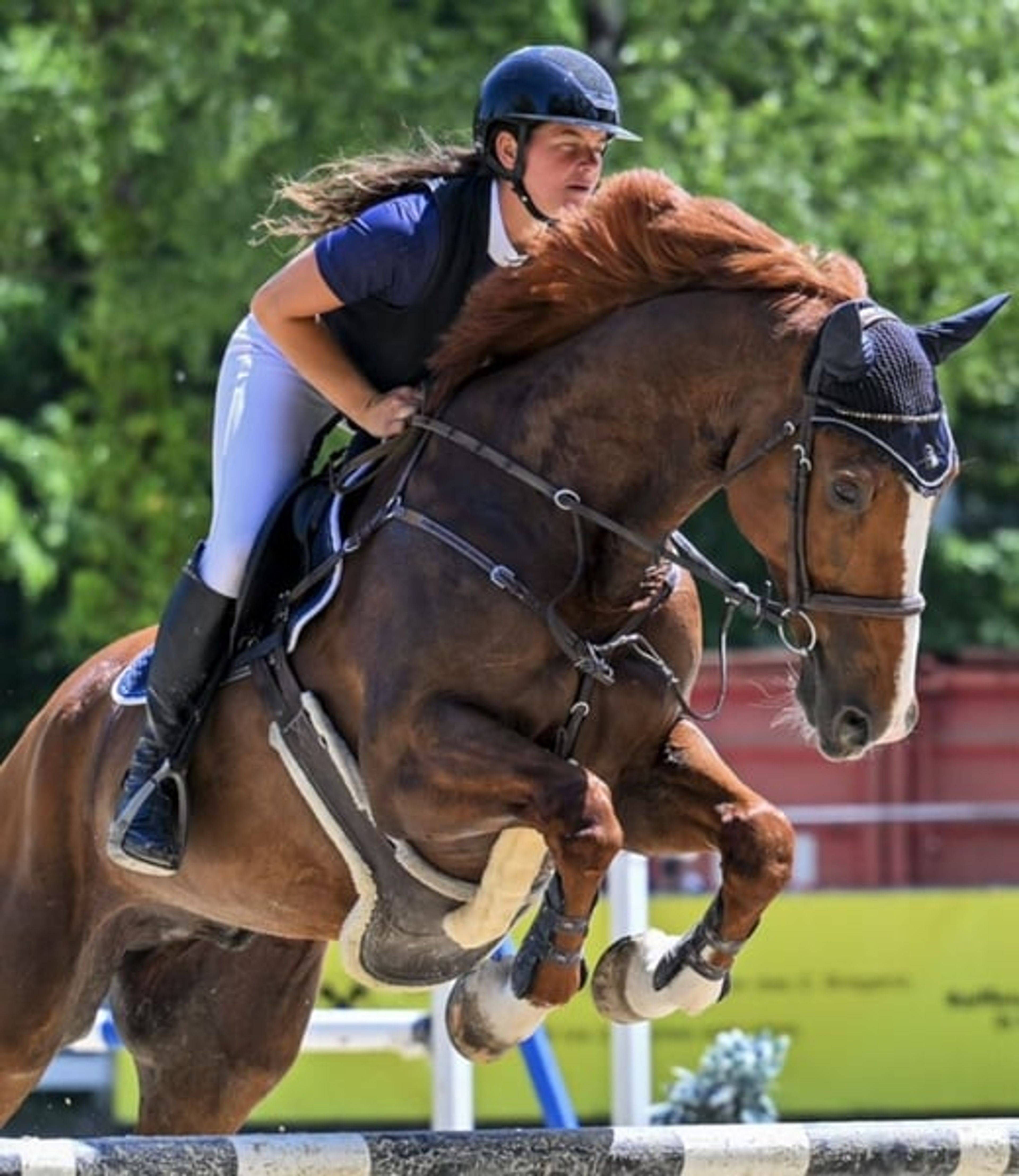 Scope & attitude / competed at 1.30 m
